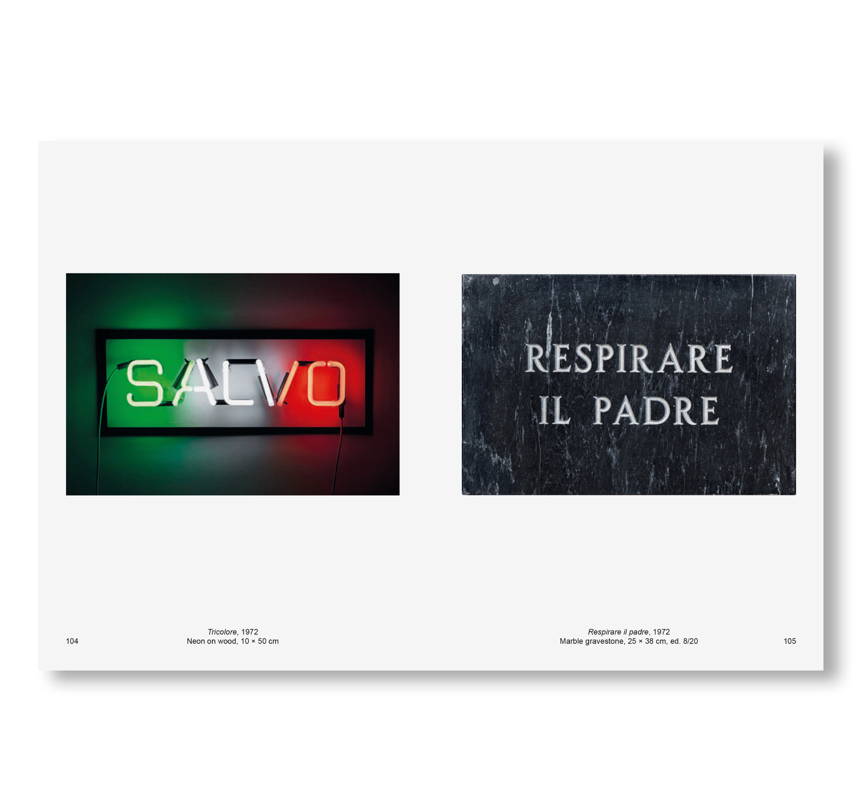 IO SONO SALVO - WORKS AND WRITINGS 1961-2015 by Salvatore Mangione (Salvo)