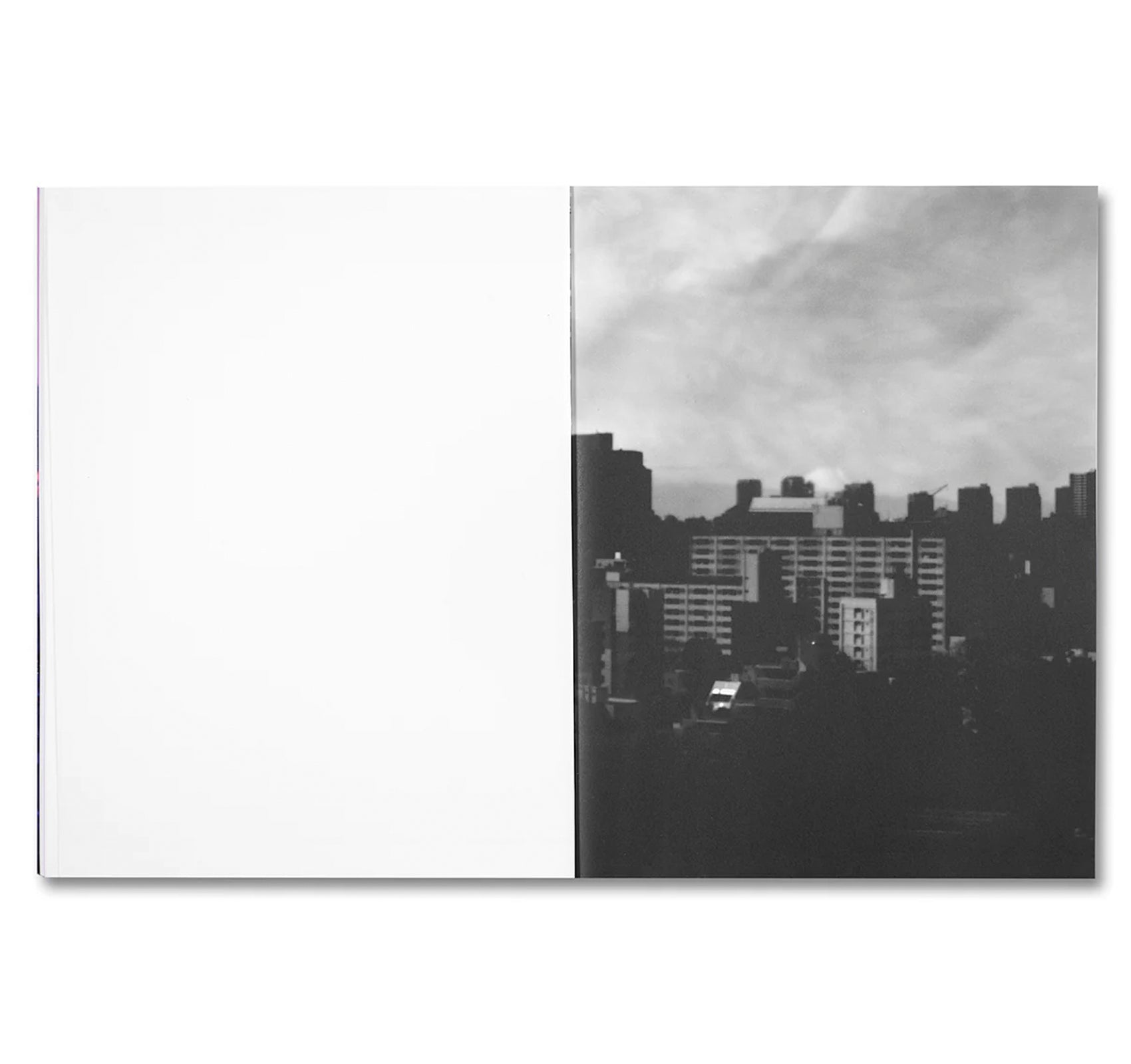 THIRTY-SIX VIEWS OF MOUNT FUJI by Takashi Homma [SIGNED]