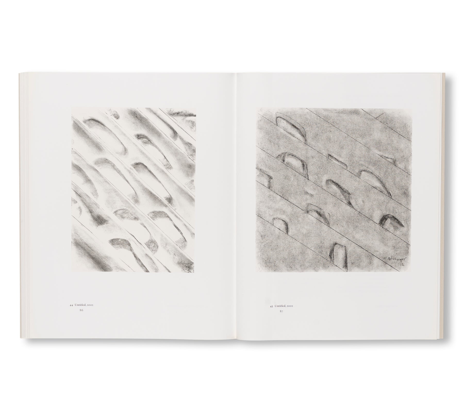 ZEICHNUNGEN / DRAWINGS 1960-2002 by Richard Artschwager