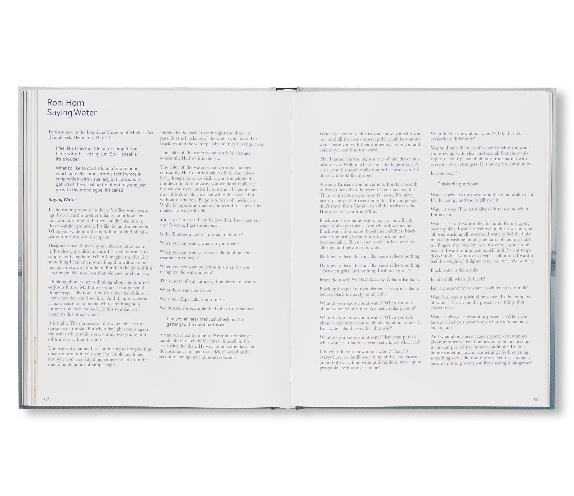 RONI HORN: WATER WATER ON THE WALL, YOU’RE THE FAIREST OF THEM ALL by Roni Horn