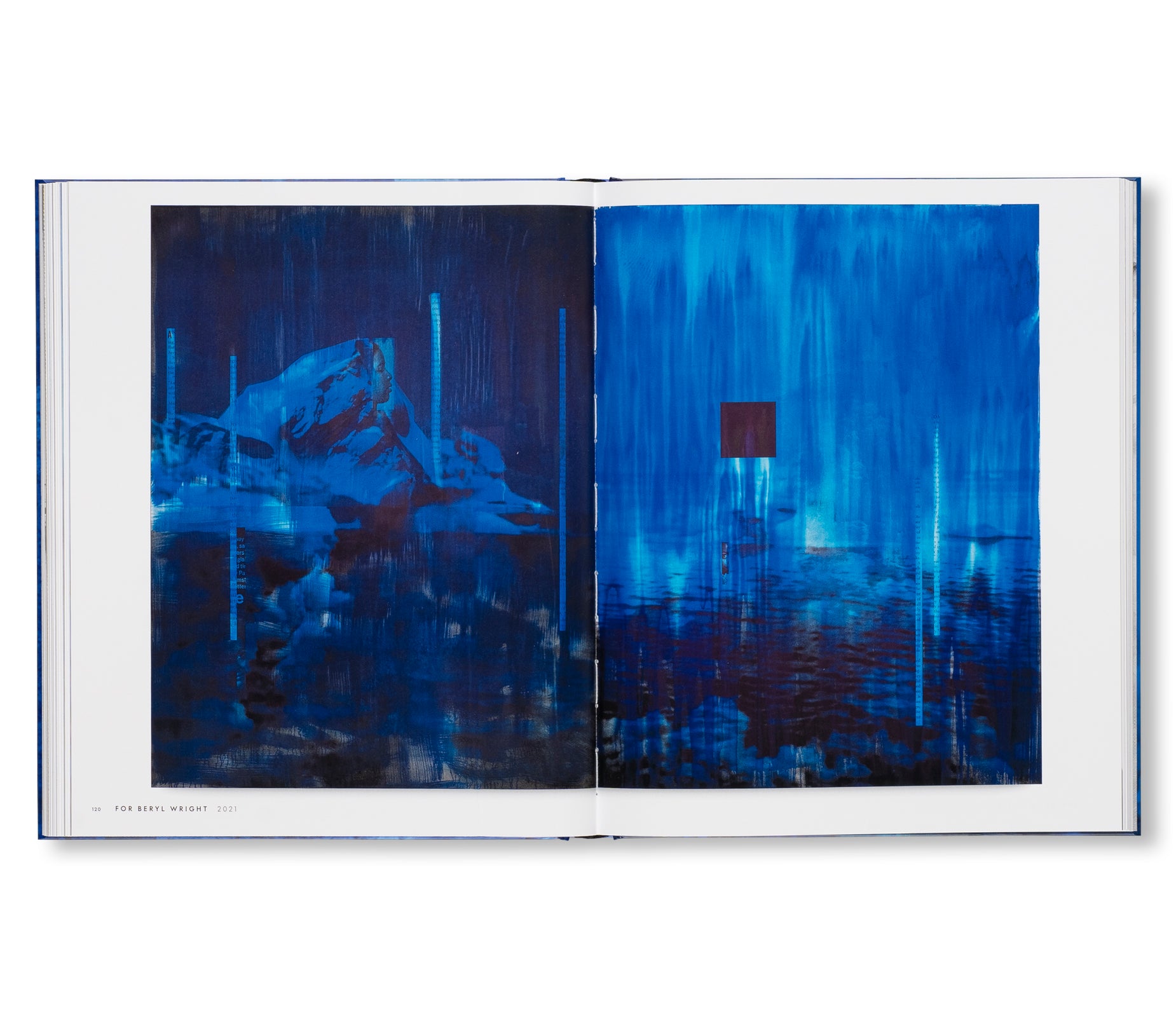 SOURCE NOTES by Lorna Simpson