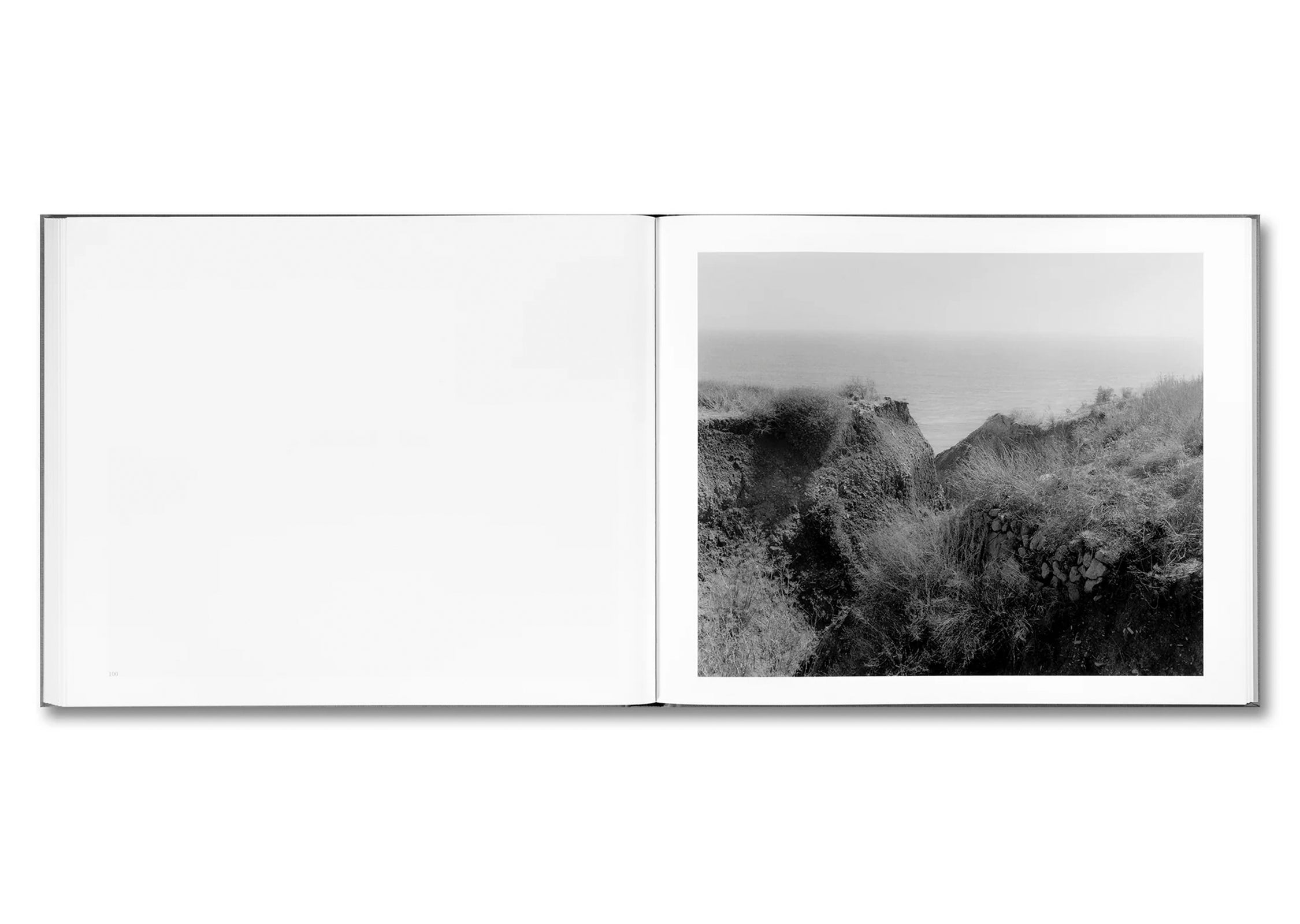 THE WESTERN EDGE by Mark Ruwedel