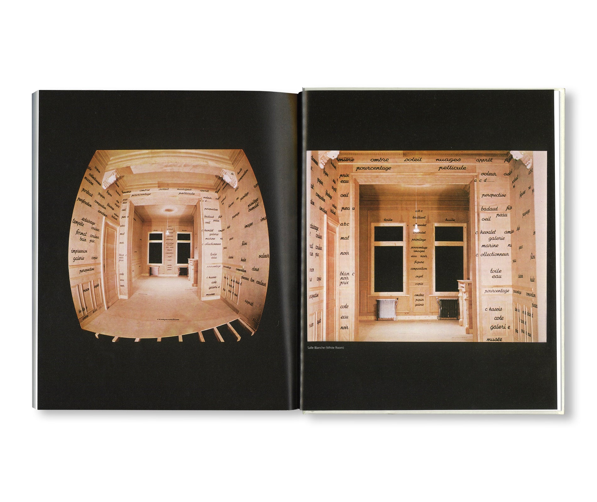 MARCEL BROODTHAERS: COLLECTED WRITINGS by Marcel Broodthaers