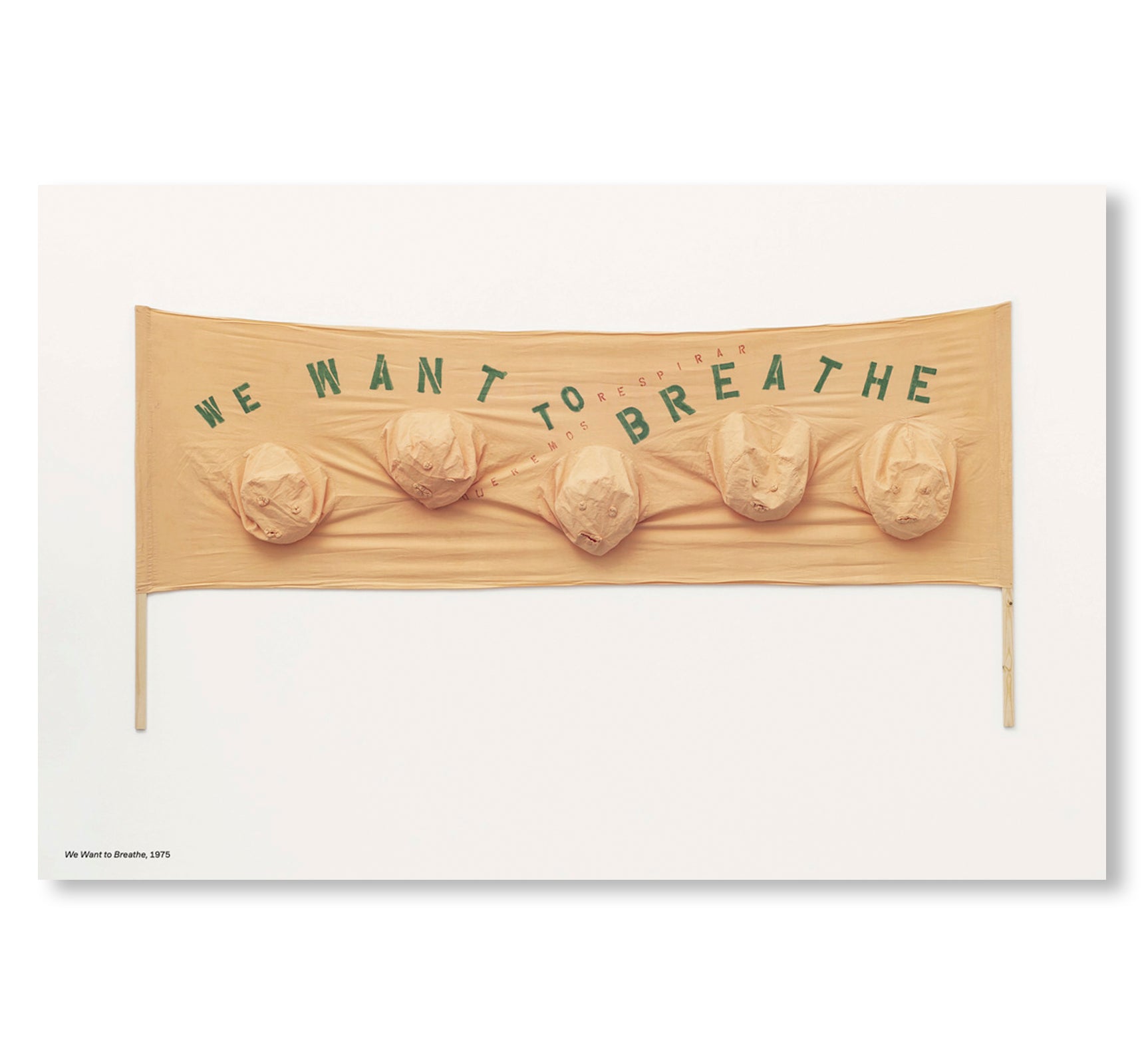 I AM THE LAST WOMAN OBJECT by Nicola L.