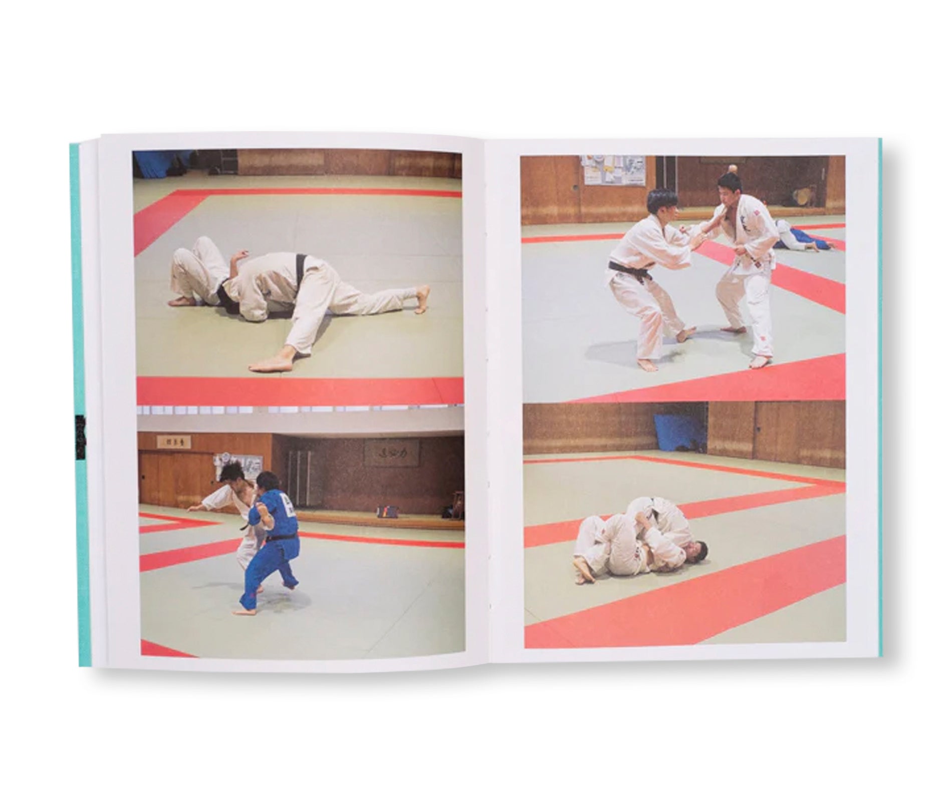 SUMO JUDO by Ari Marcopoulos