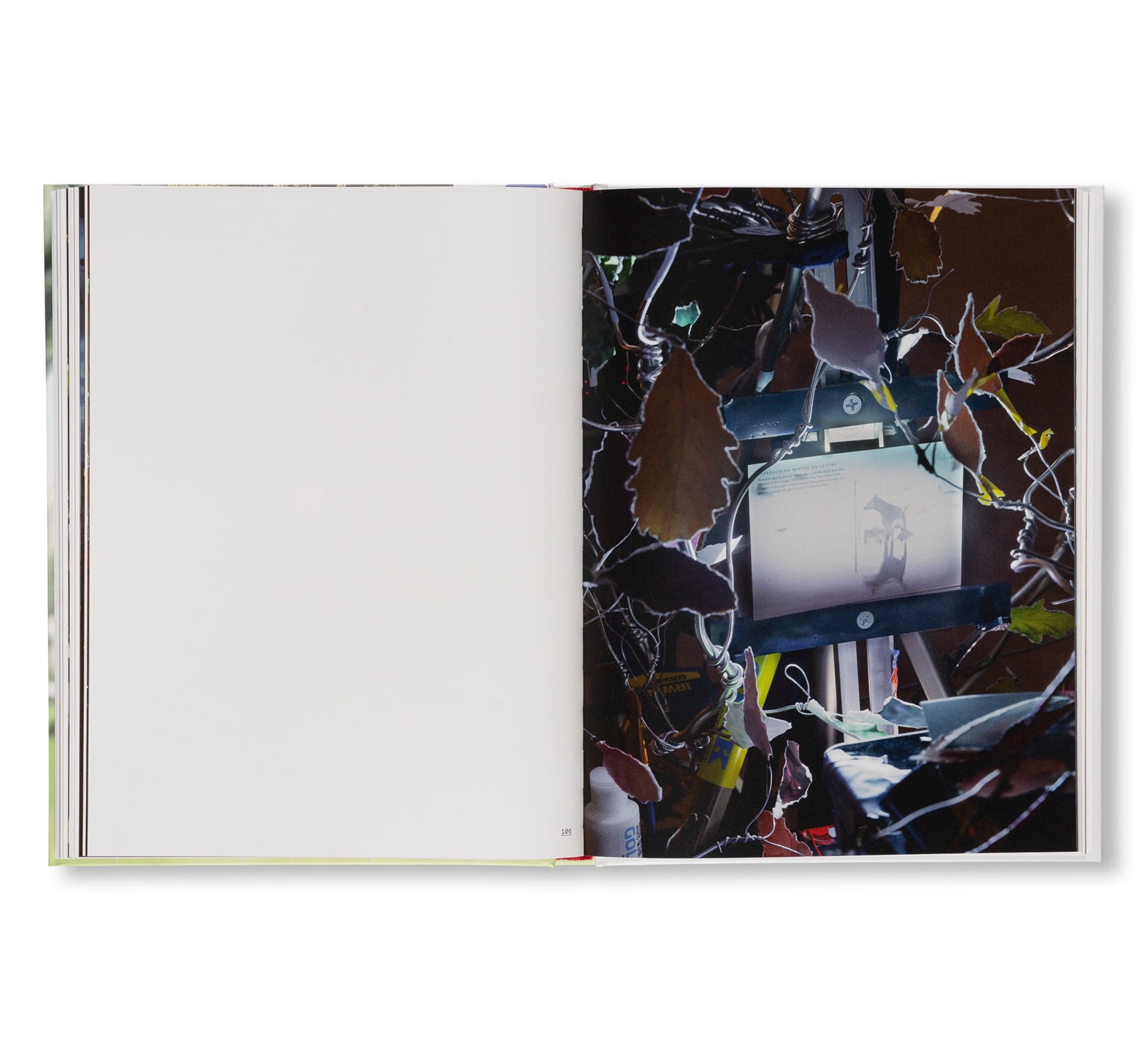SARAH SZE by Sarah Sze