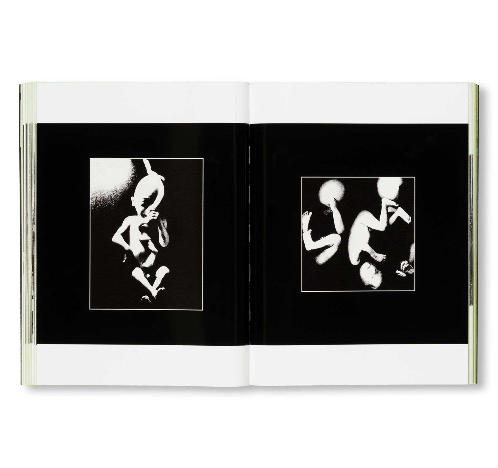 MORIYAMA: QUARTET by Daido Moriyama