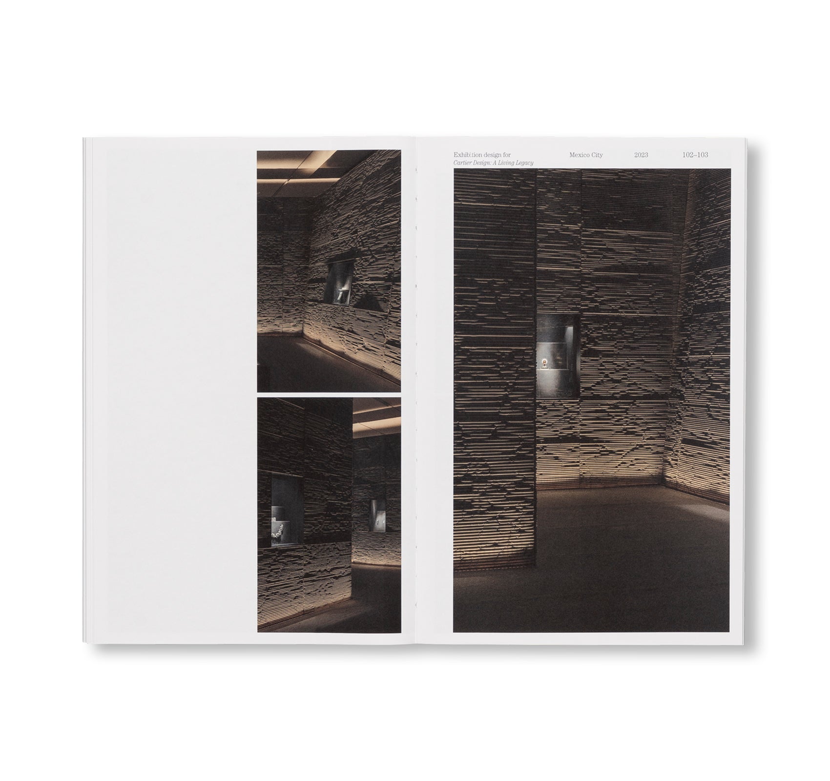 SUSPENDED MOMENT: THE ARCHITECTURE OF FRIDA ESCOBEDO by Frida Escobedo [ENGLISH EDITION]