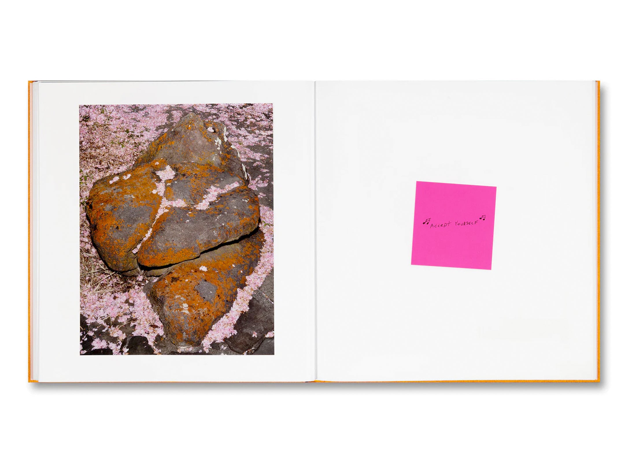 ADVICE FOR YOUNG ARTISTS by Alec Soth [SIGNED]