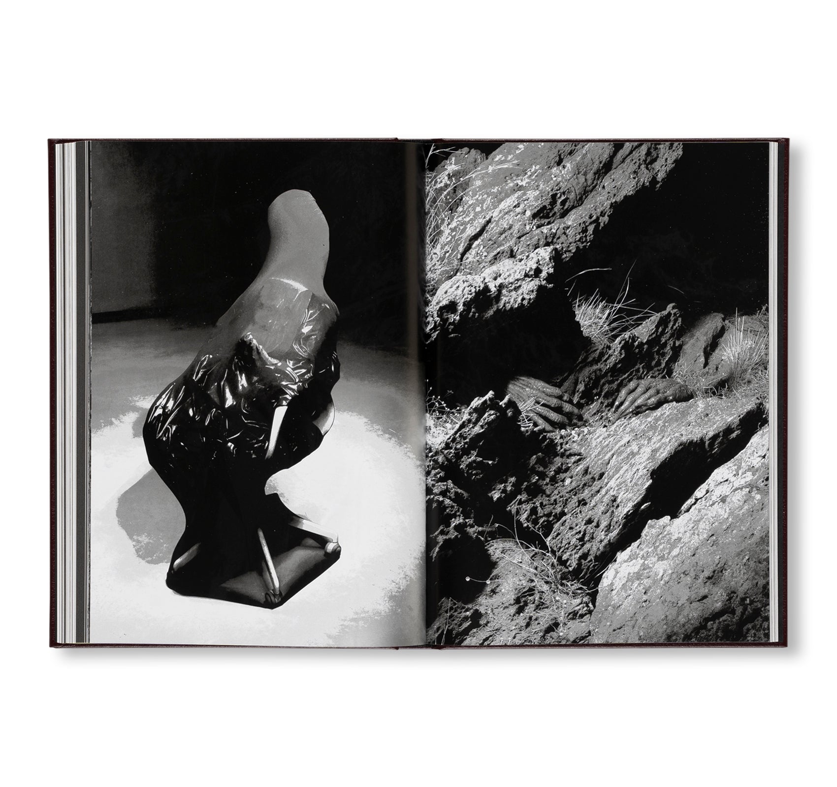 NULA by Irena Haiduk, Blakey Bessire