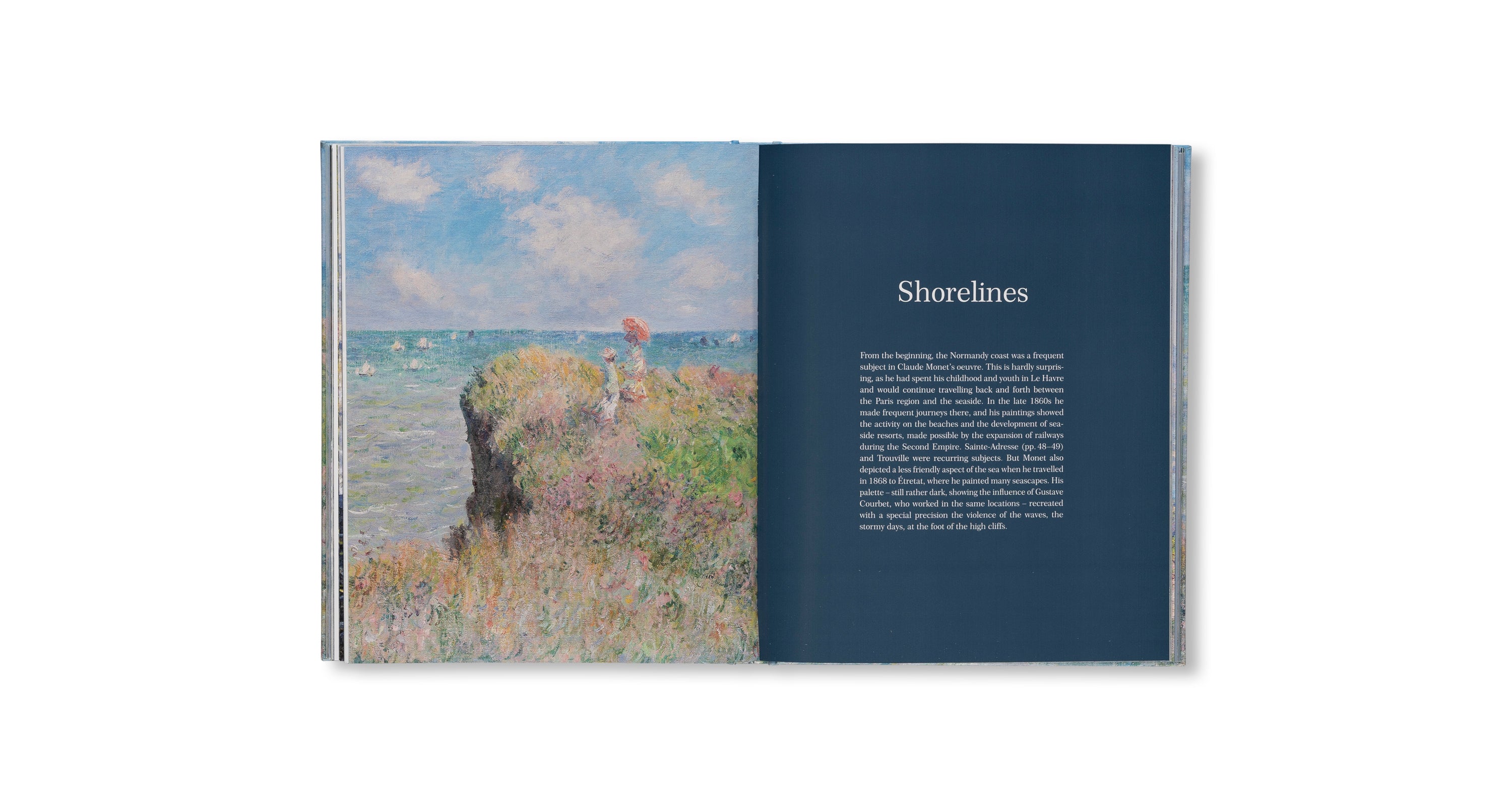 MONET - THE BIGGER PICTURE by Anne Sefrioui