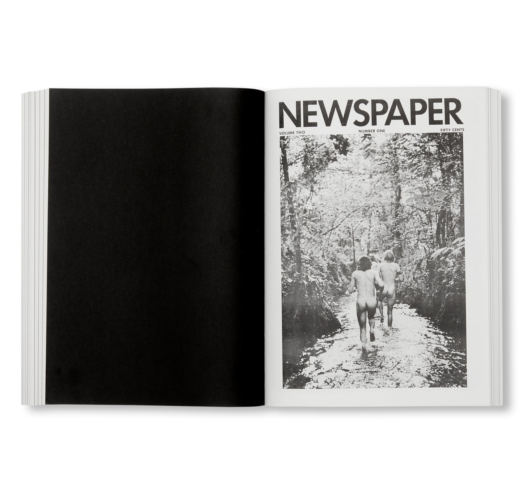 NEWSPAPER by Steve Lawrence, Peter Hujar, Andrew Ullrick