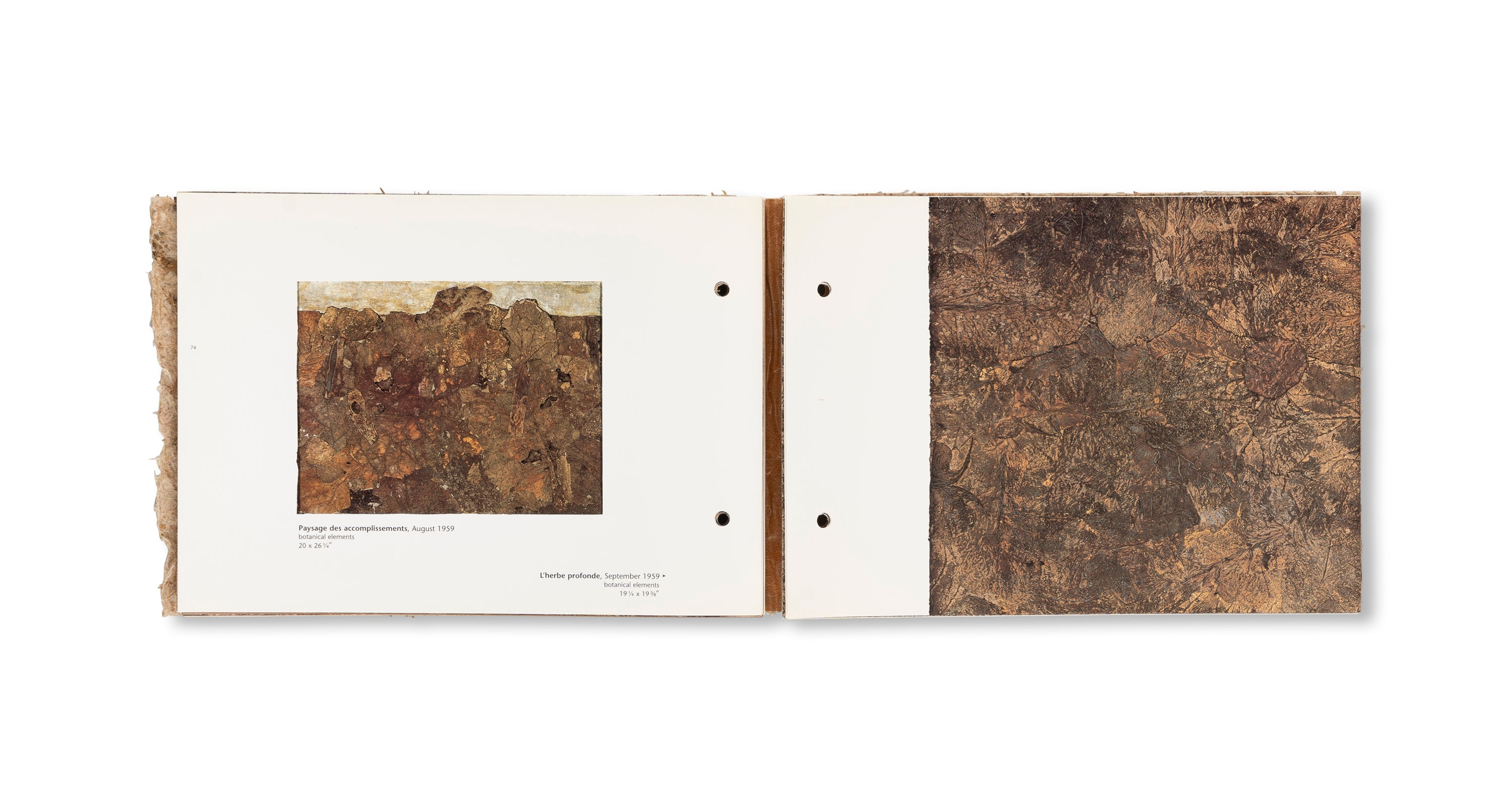 THE RADIANT EARTH by Jean Dubuffet [COVER A]