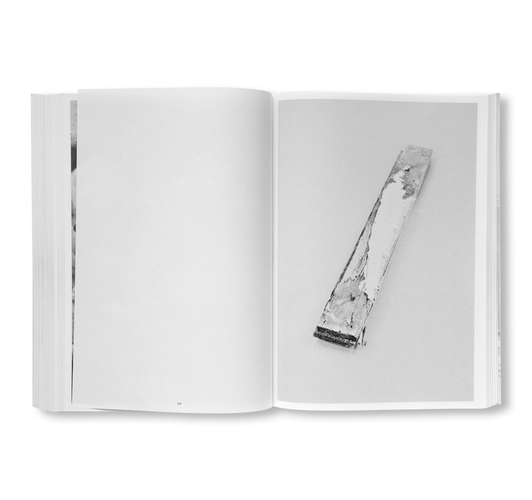 RIEN, PRESQUE by Michel Mazzoni