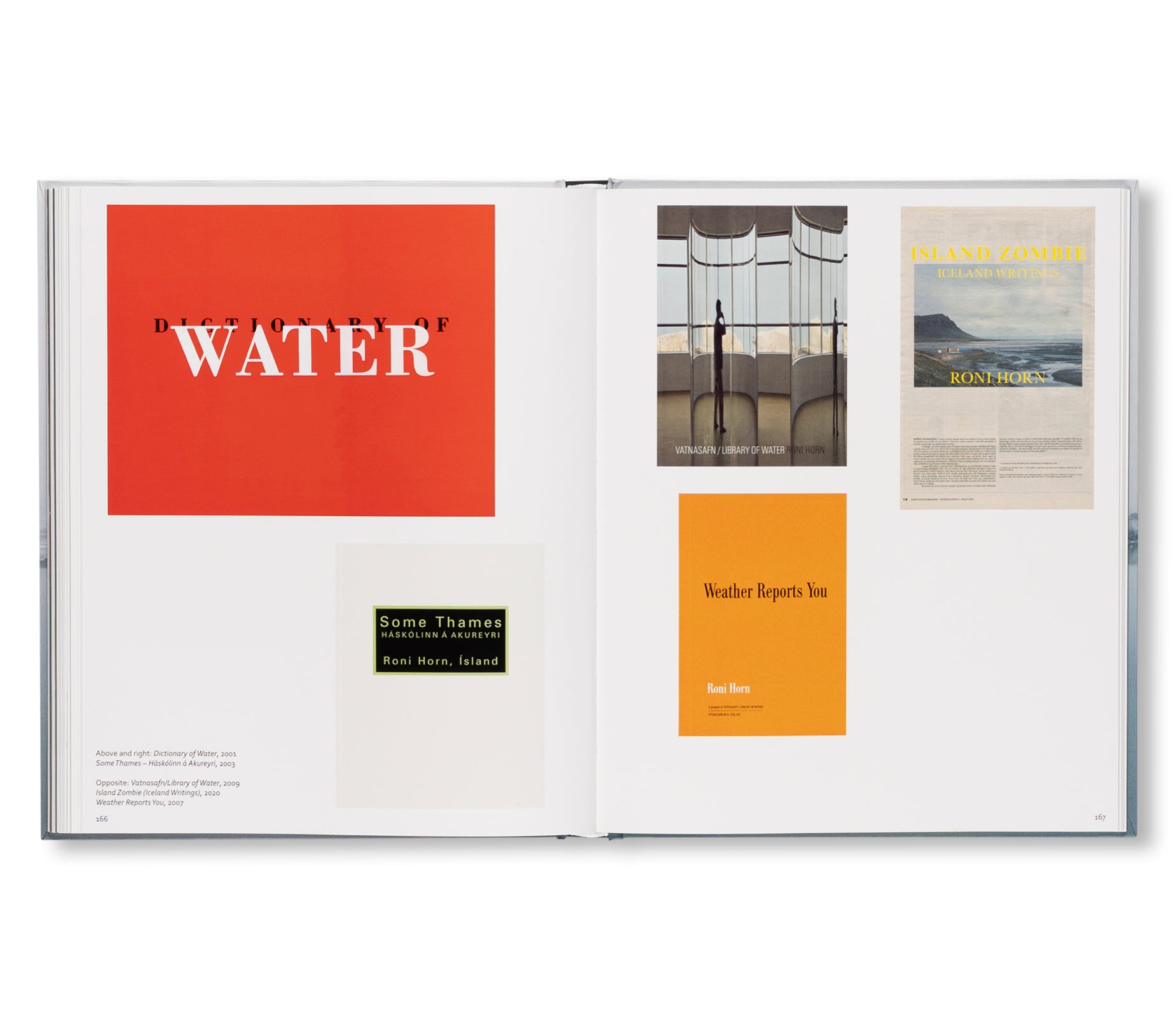 RONI HORN: WATER WATER ON THE WALL, YOU’RE THE FAIREST OF THEM ALL by Roni Horn