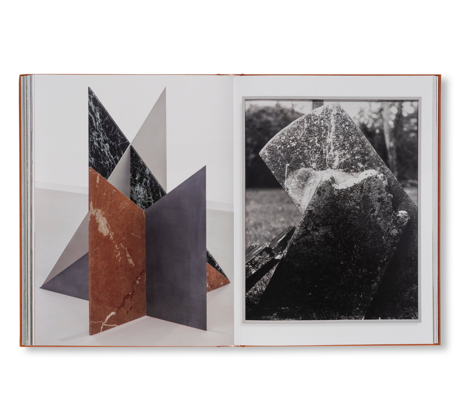 AFTER LIFE by Sam Falls