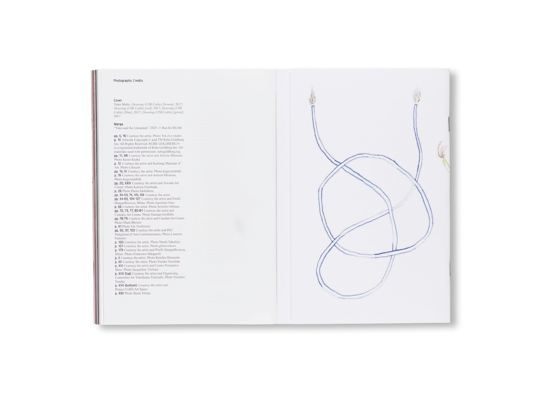 YUKO MOHRI: ENTANGLEMENTS by Yuko Mohri