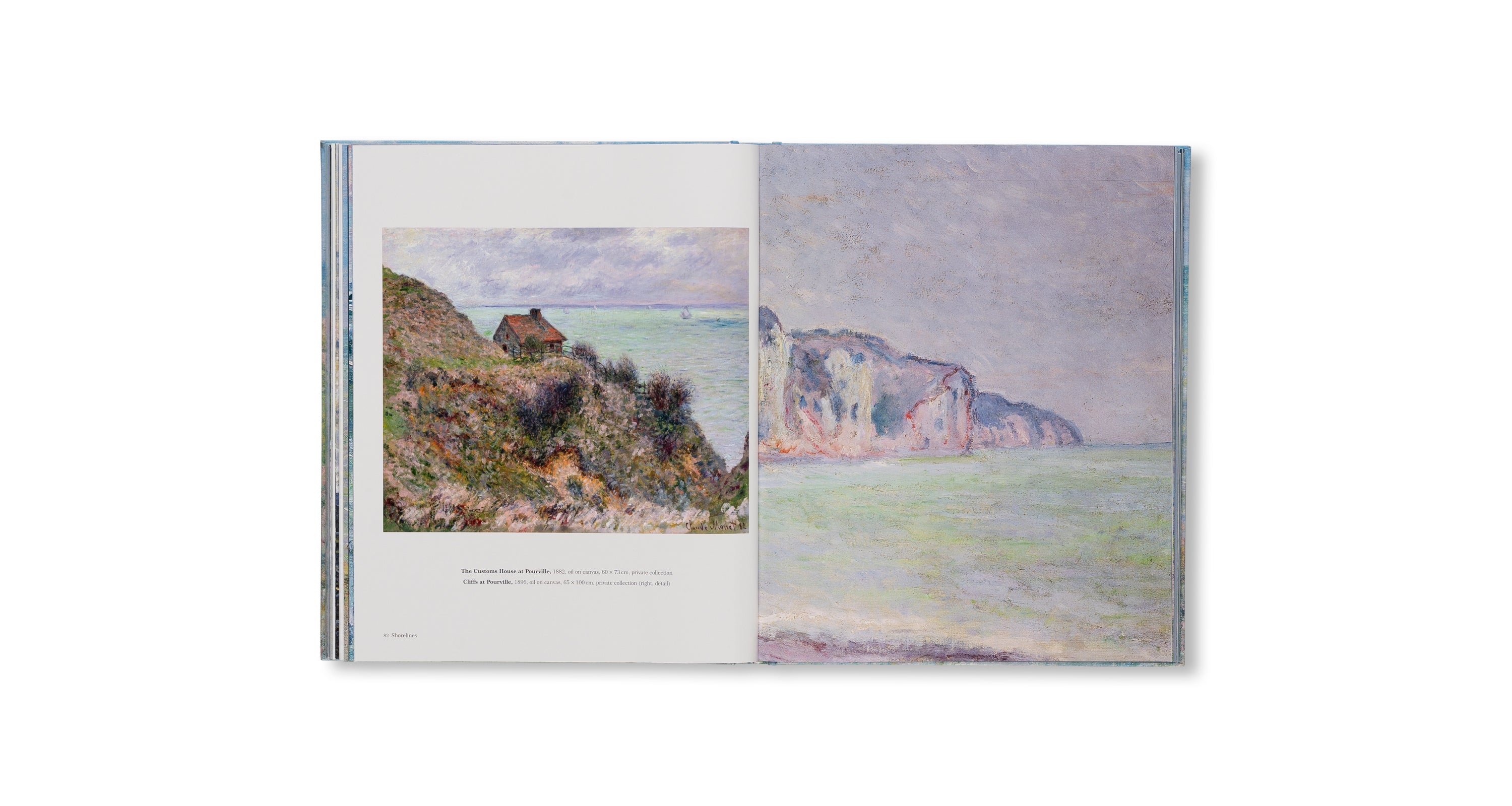 MONET - THE BIGGER PICTURE by Anne Sefrioui