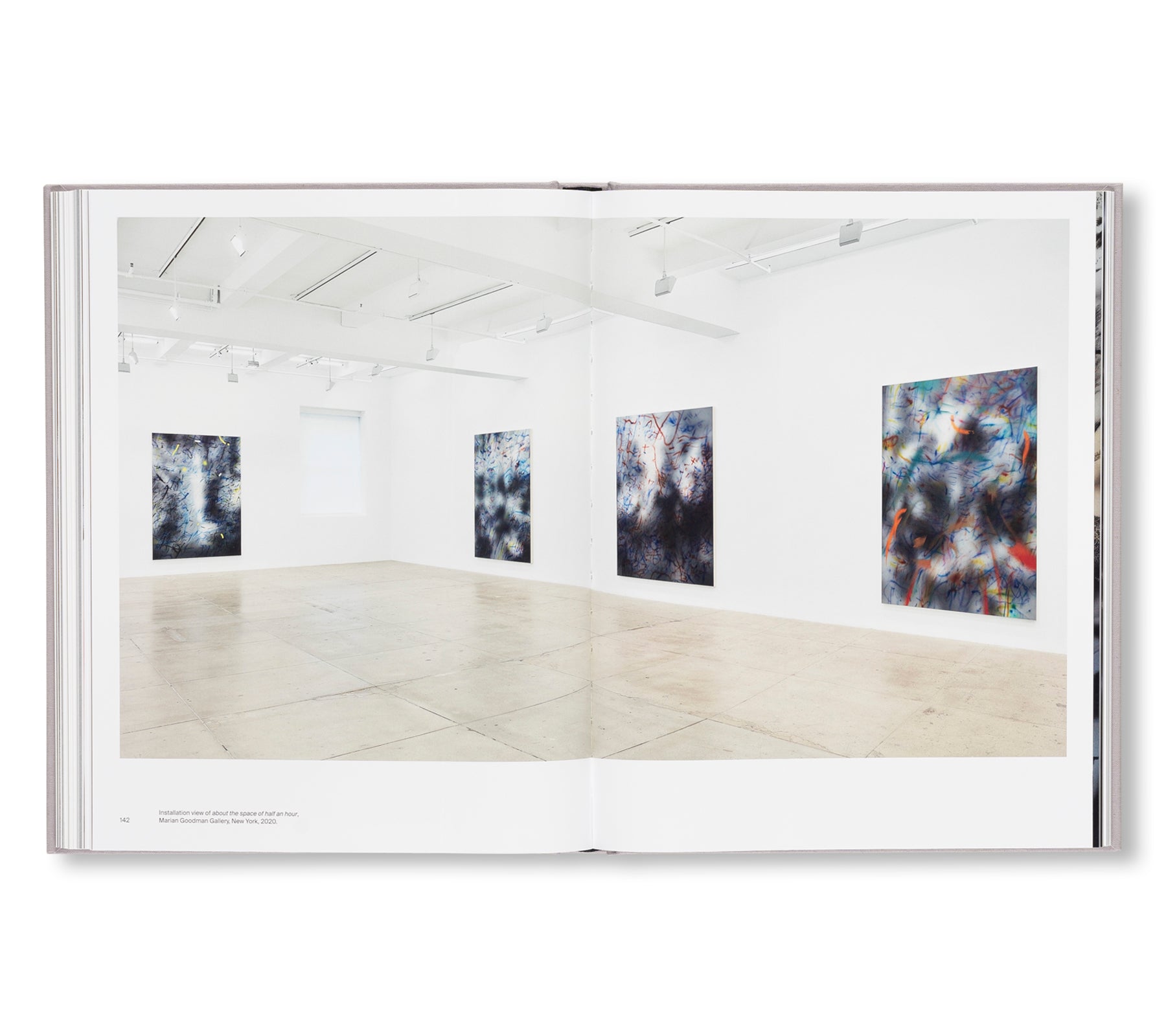 A TRANSCORE OF THE RADICAL IMAGINATORY by Julie Mehretu