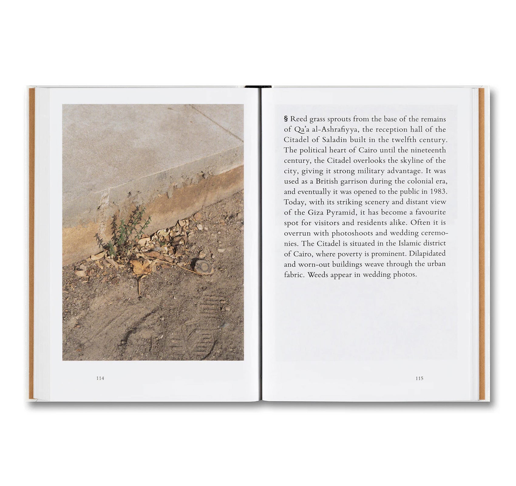 WEEDS: A GERMINATING THEORY by Kwan Queenie Li