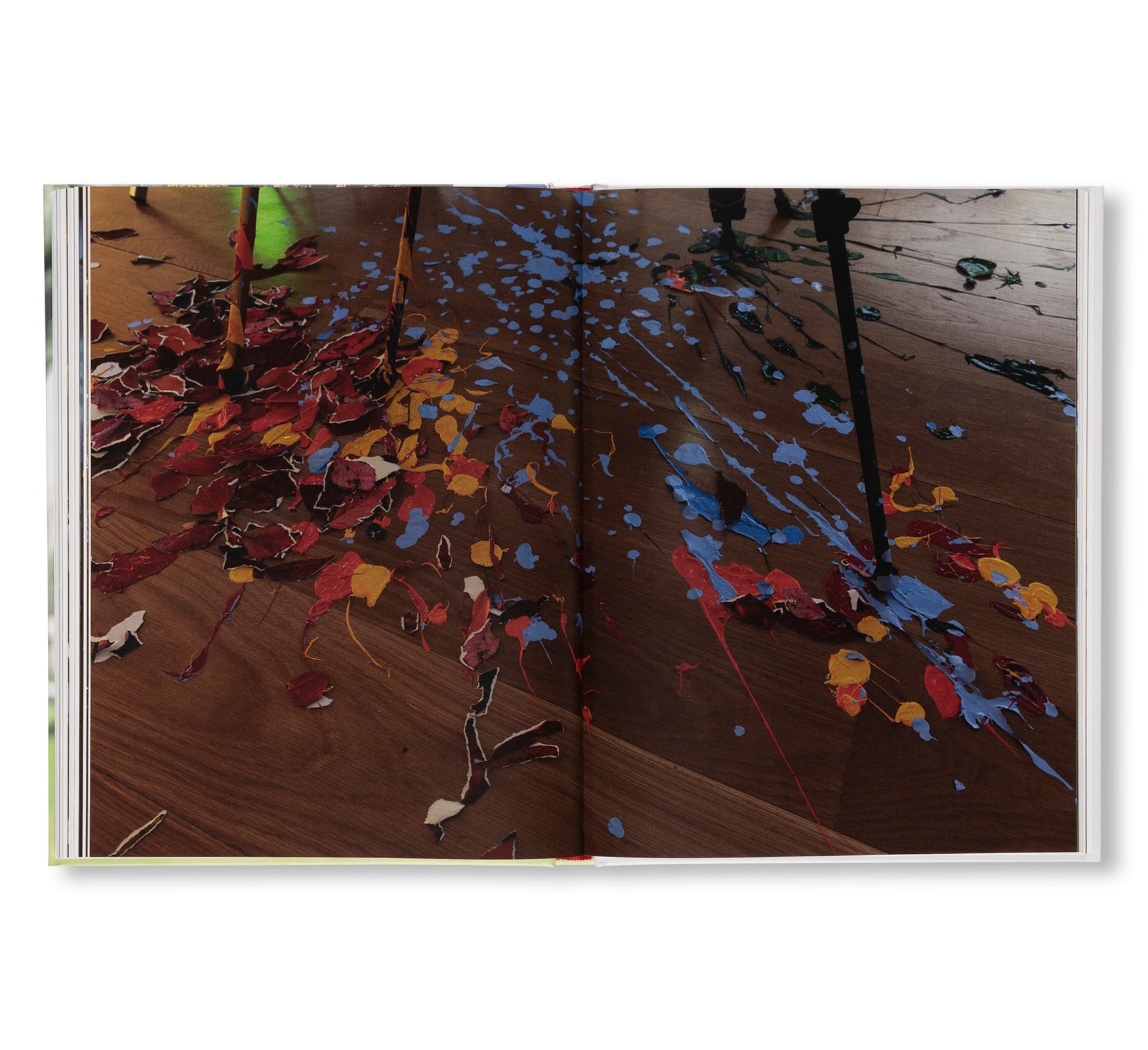 SARAH SZE by Sarah Sze