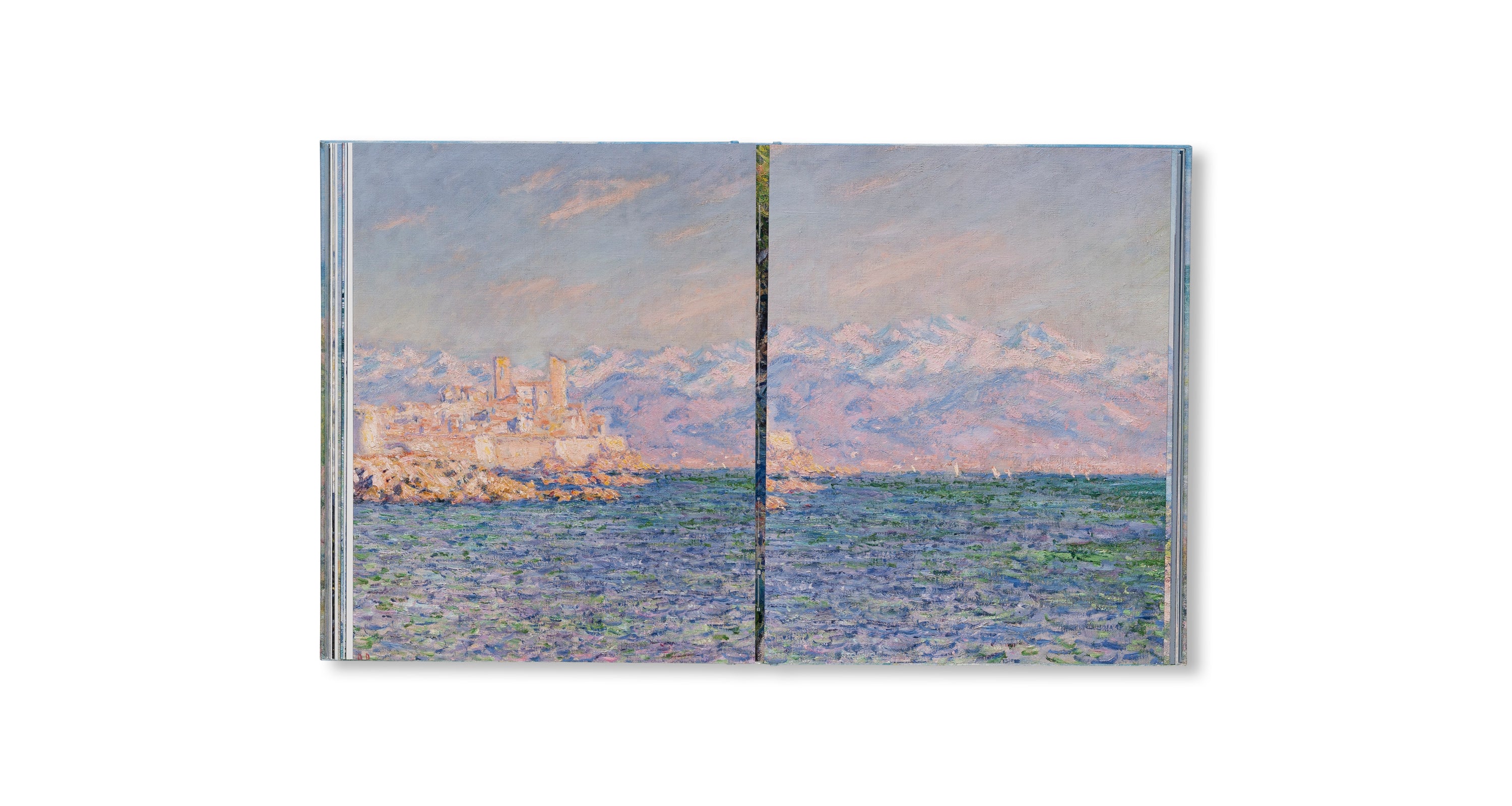 MONET - THE BIGGER PICTURE by Anne Sefrioui