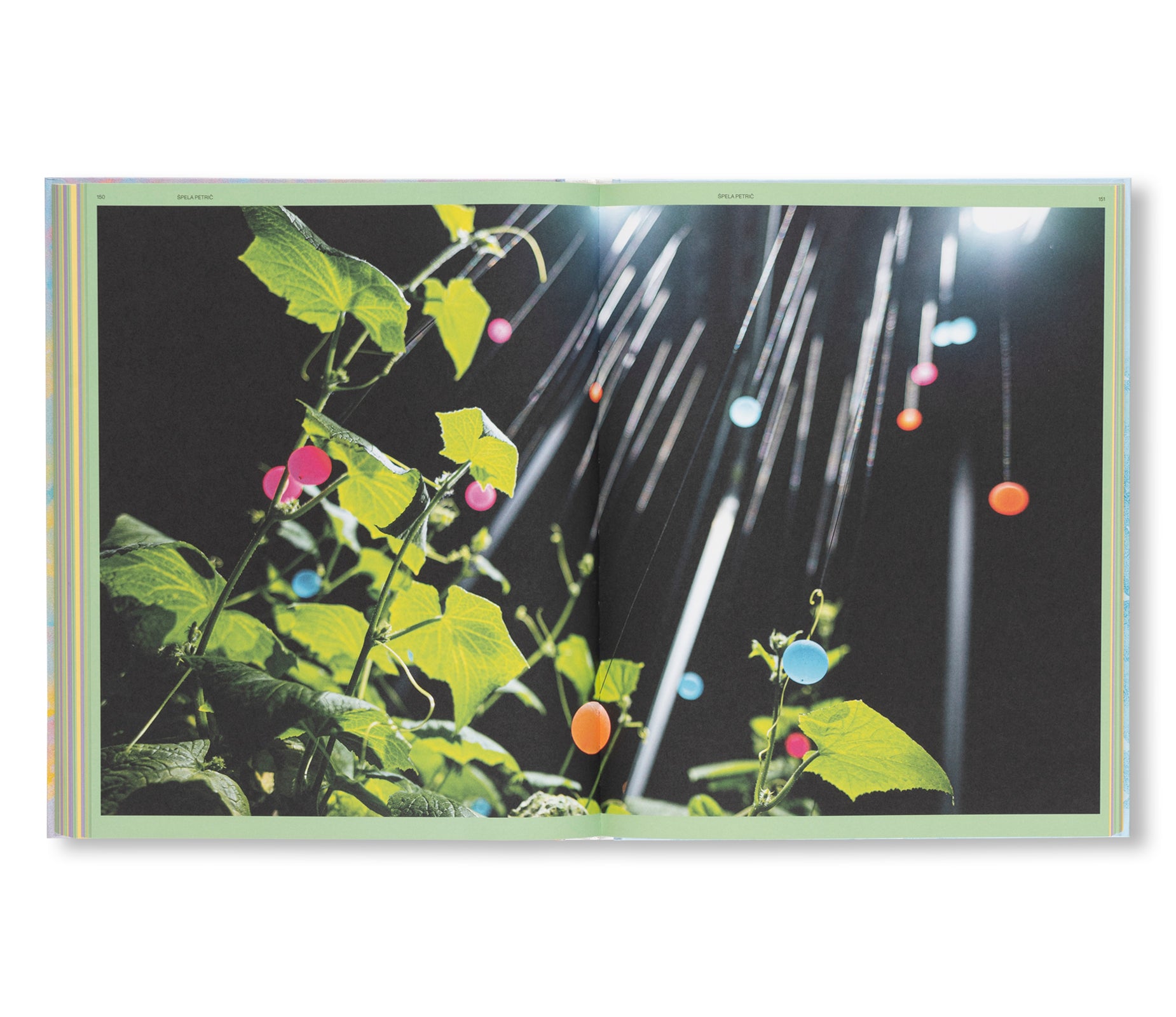 THE SENSES OF PLANTS