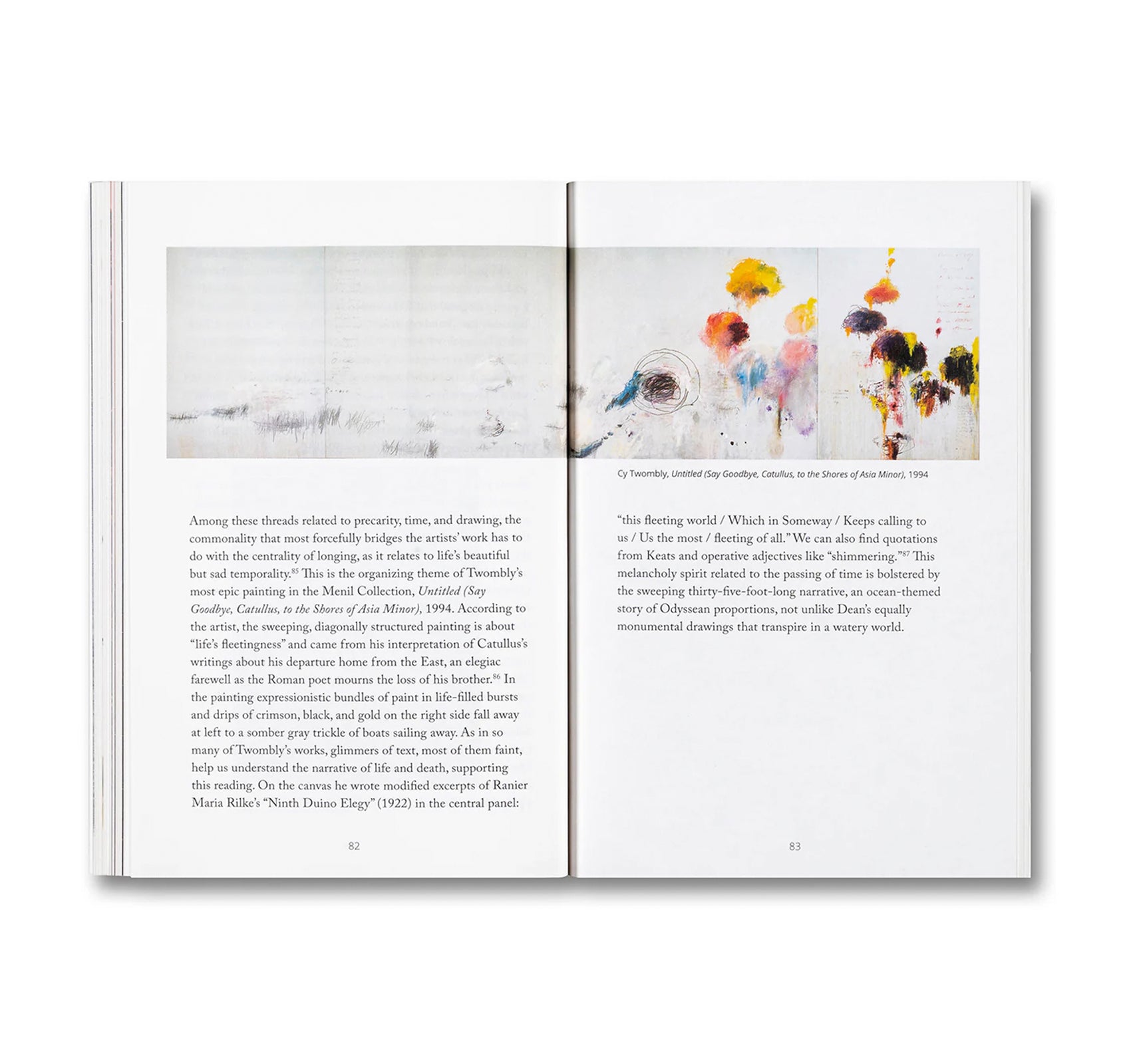 BLIND FOLLY OR HOW TACITA DEAN DRAWS by Michelle White, Tacita Dean