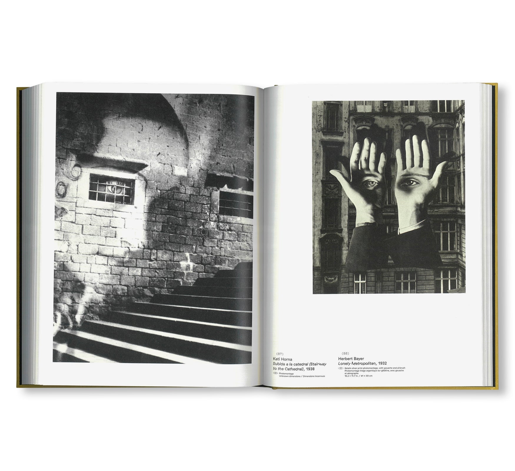 CLIN D'ŒIL by Cécile Poimbœuf-Koizumi & Stephen Ellcock