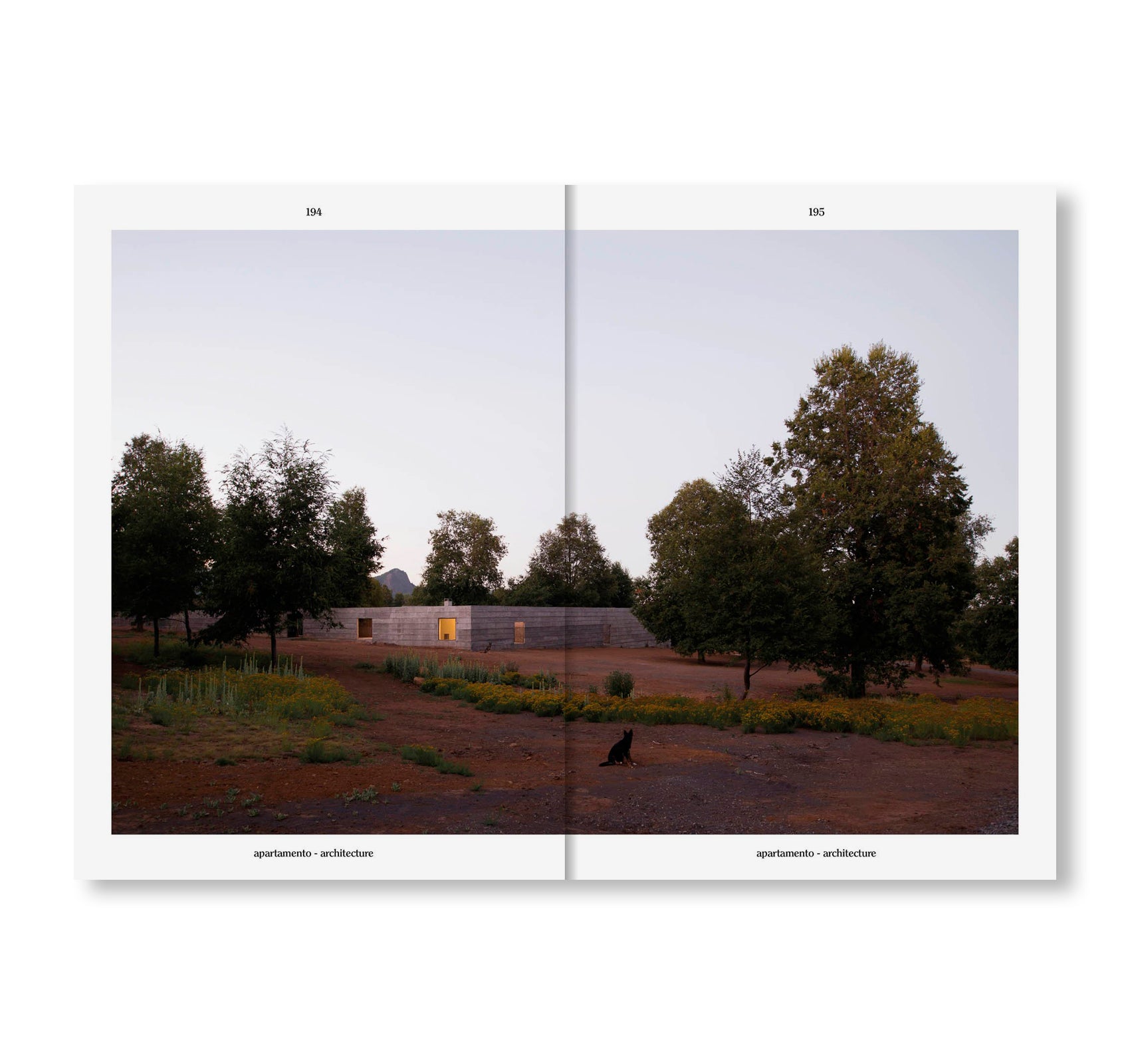 APARTAMENTO ISSUE #37 Spring/Summer 2026