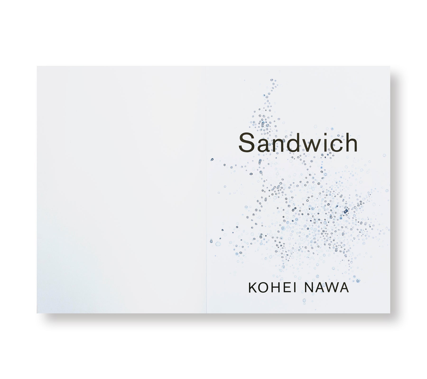 SANDWICH by Kohei Nawa [SIGNED]