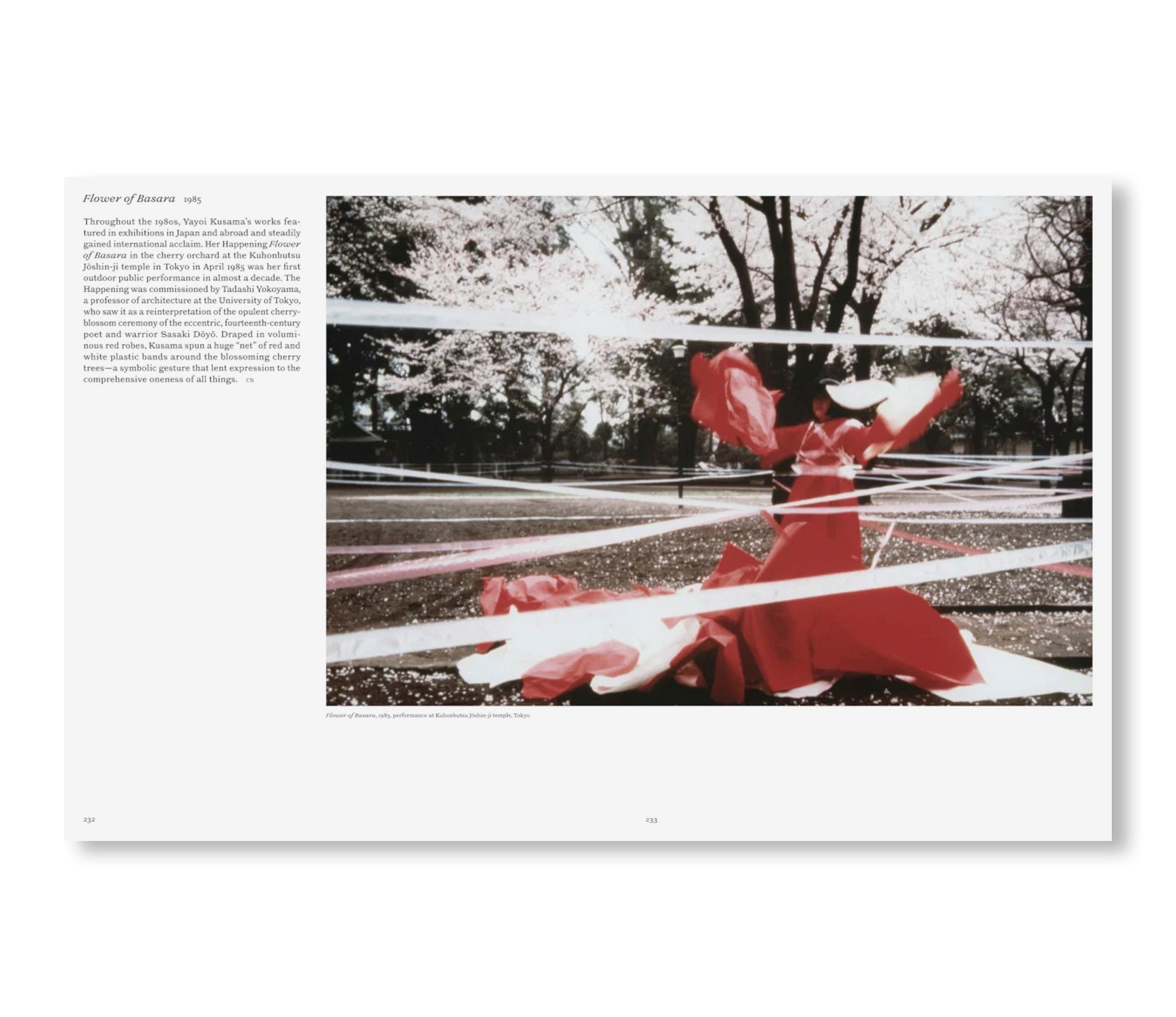 YAYOI KUSAMA by Yayoi Kusama (HATJE CANTZ) [ENGLISH EDITION]