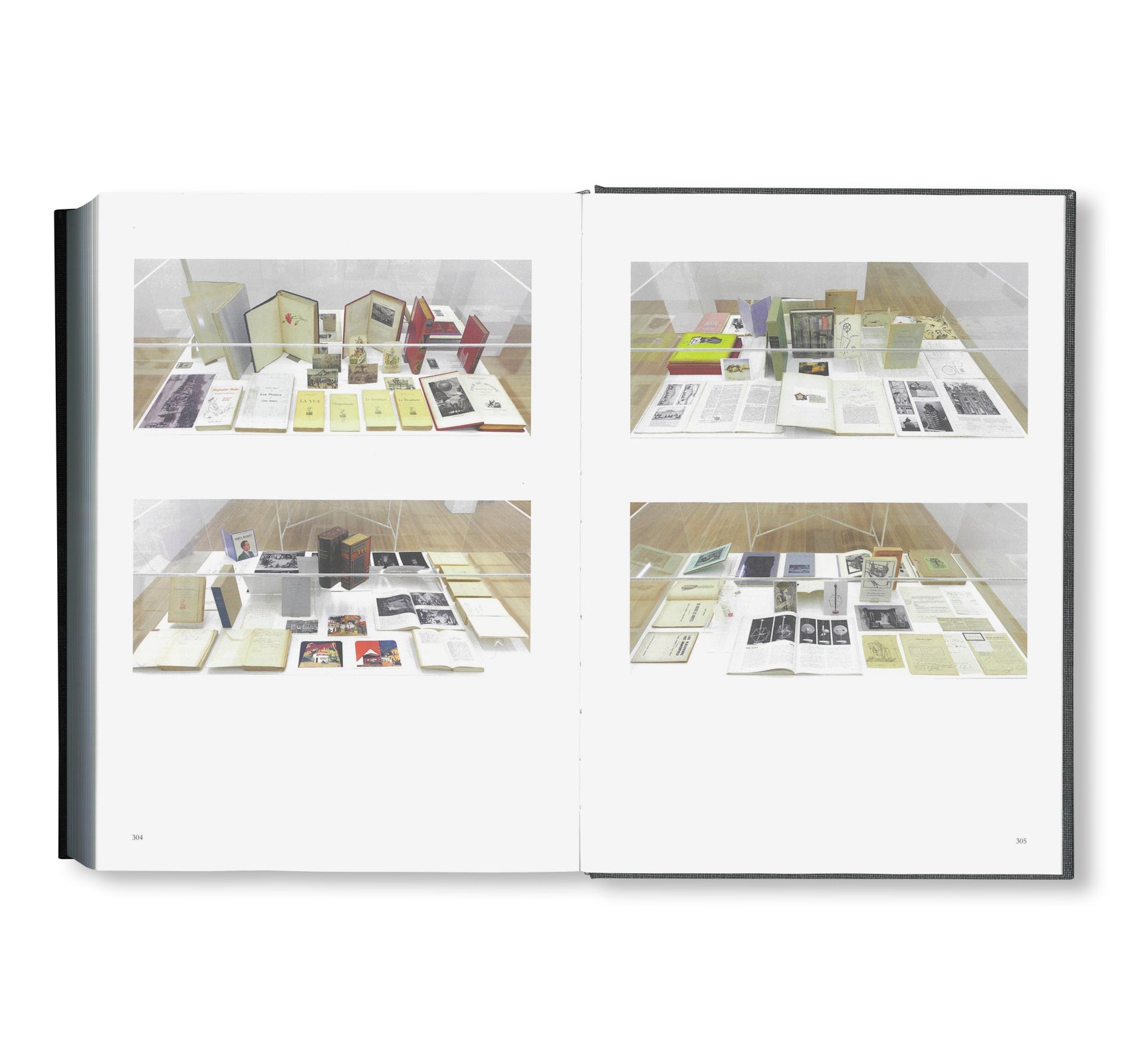 THE BOOKS AND LIFE OF RAYMOND ROUSSEL by Michael Sanchez