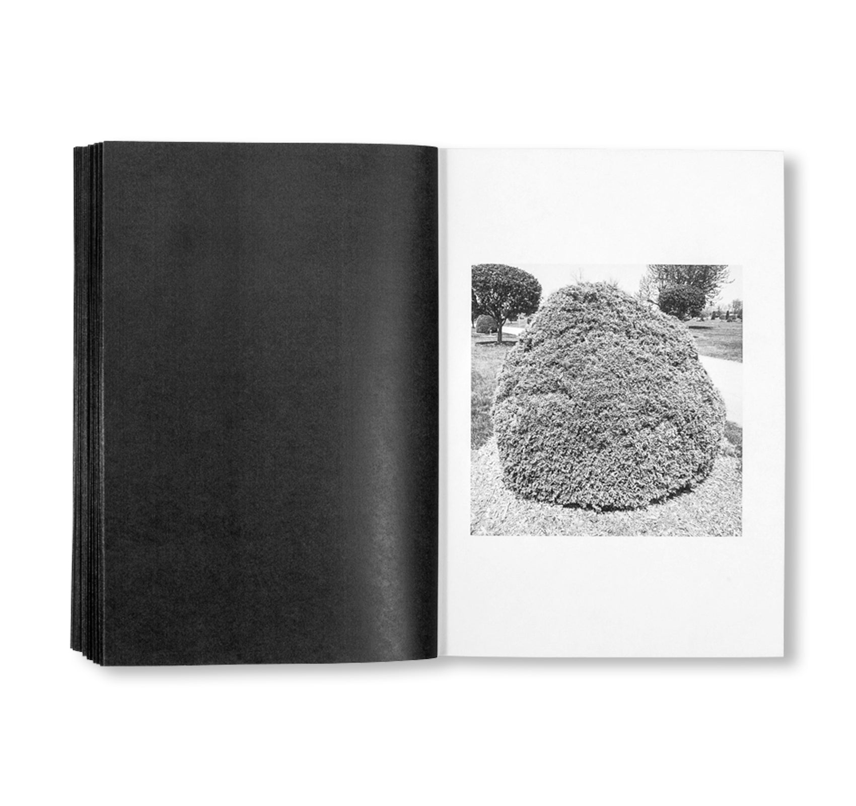 SHRUBS OF DEATH by Mike Slack [ENGLISH COVER / SIGNED]