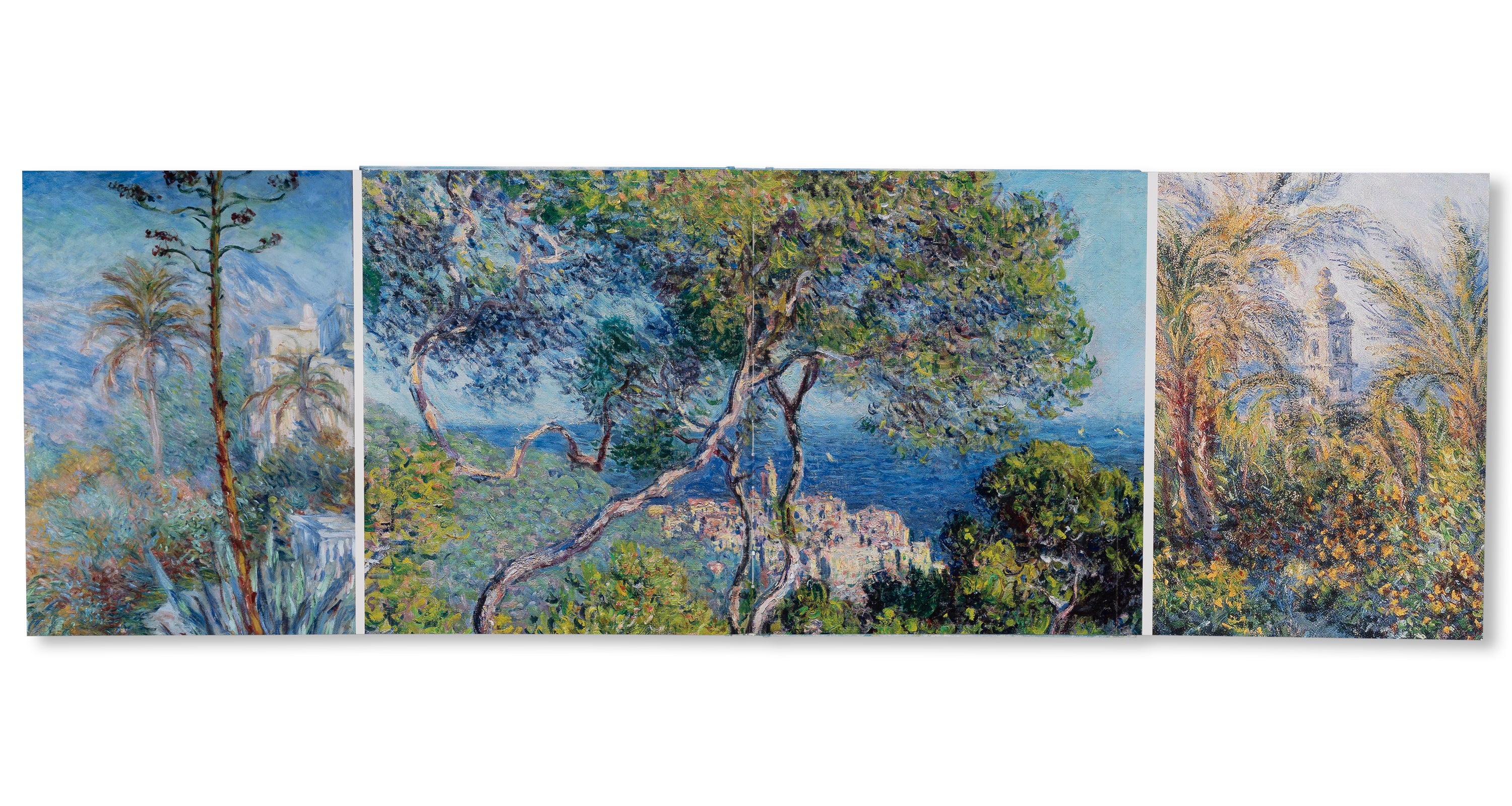 MONET - THE BIGGER PICTURE by Anne Sefrioui