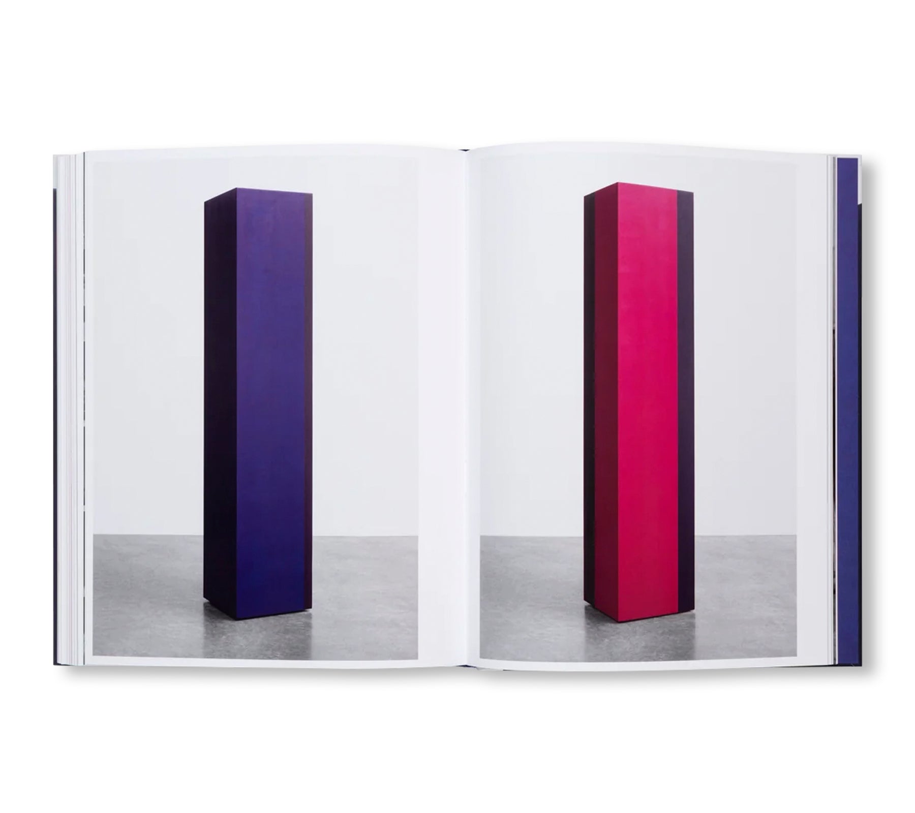 ANNE TRUITT: PIONEER OF MINIMAL ART by Anne Truitt