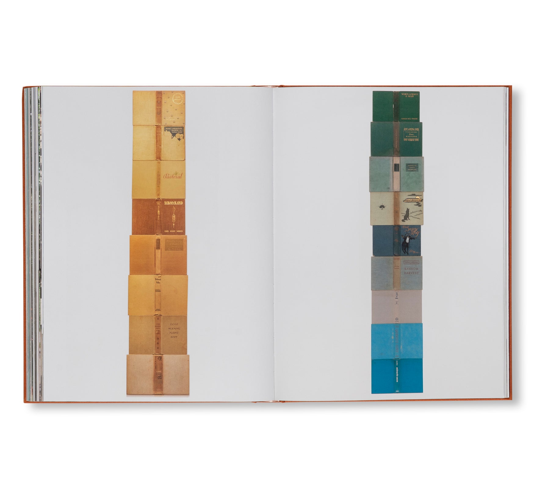 AFTER LIFE by Sam Falls