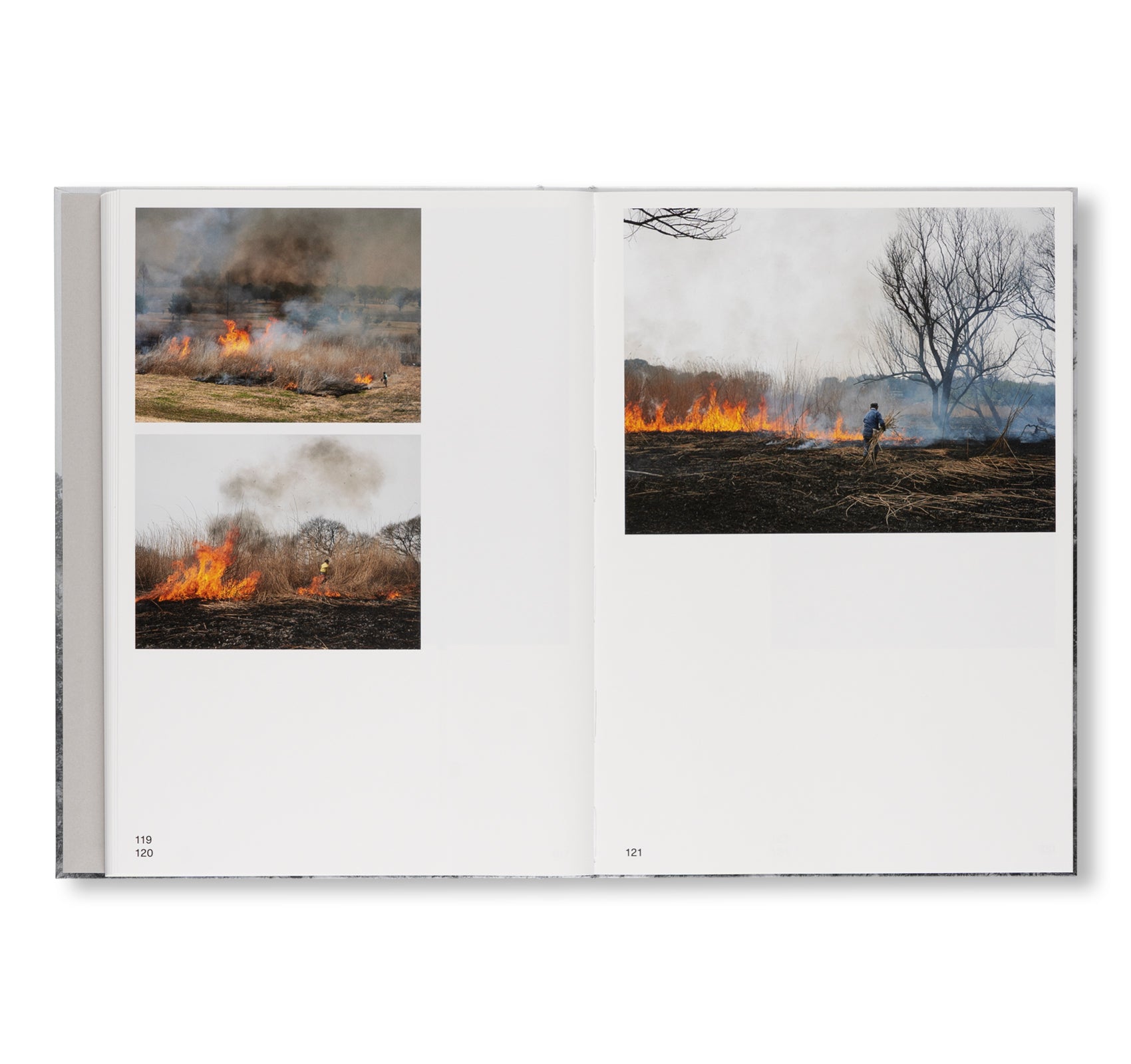 PRESENCE by Keiko Sasaoka