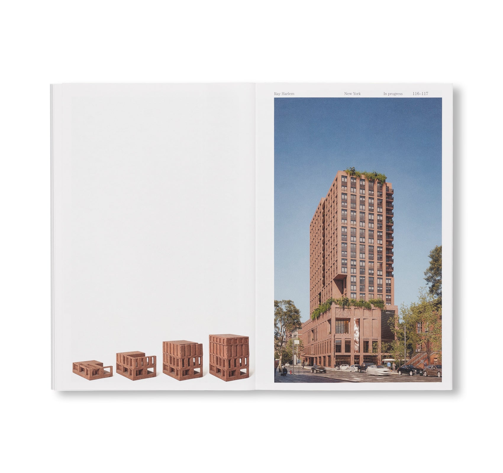 SUSPENDED MOMENT: THE ARCHITECTURE OF FRIDA ESCOBEDO by Frida Escobedo [ENGLISH EDITION]
