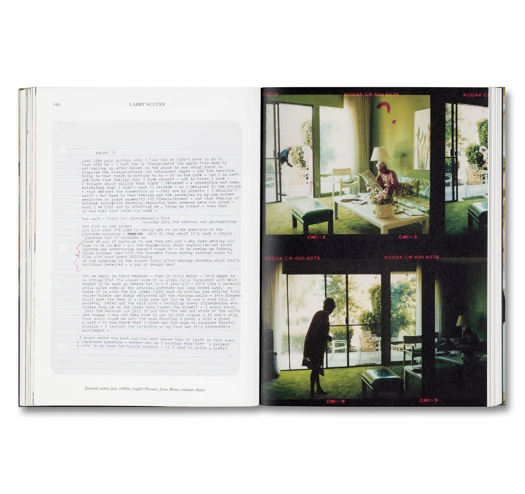 WATER OVER THUNDER: SELECTED WRITINGS by Larry Sultan