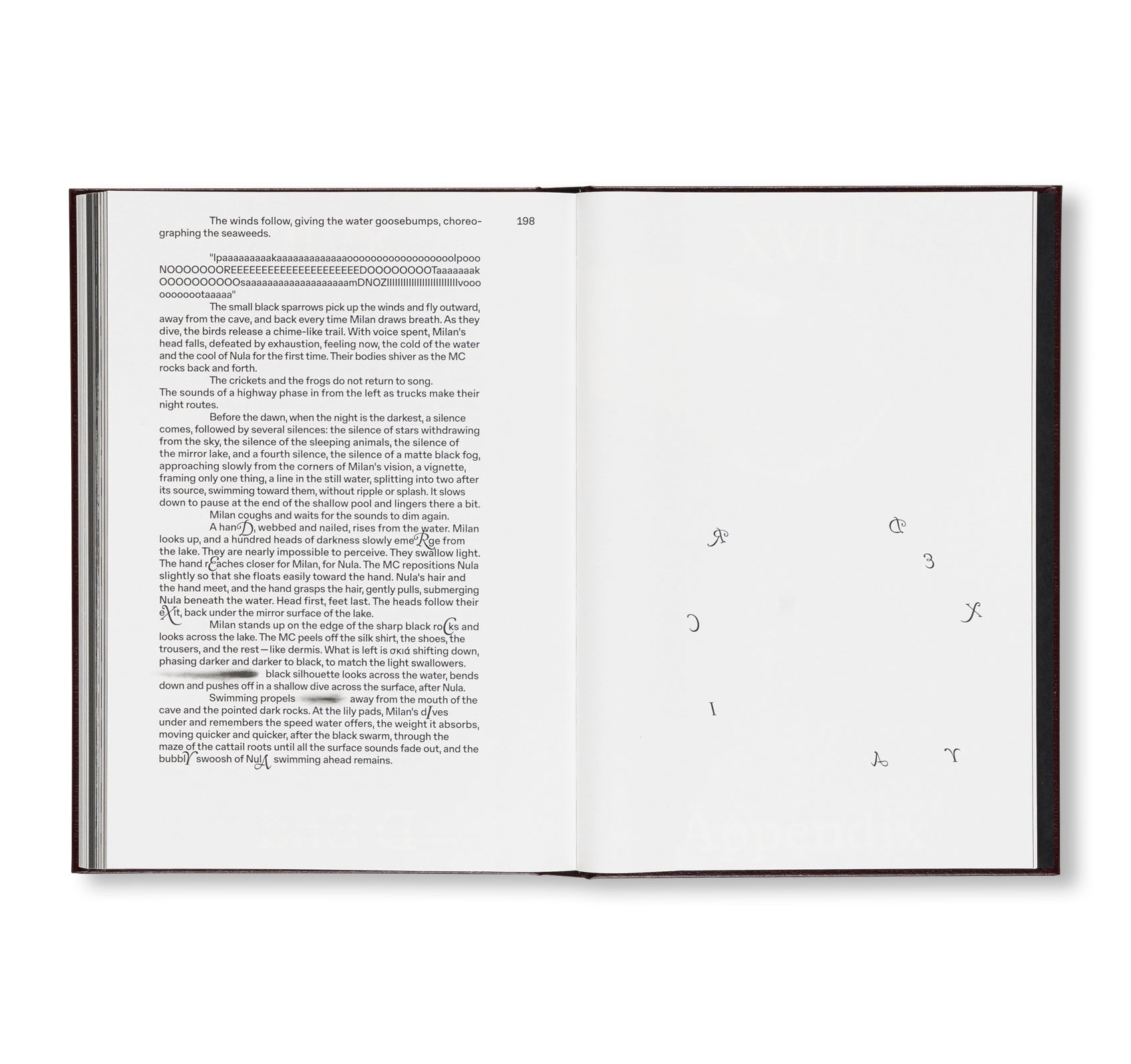 NULA by Irena Haiduk, Blakey Bessire