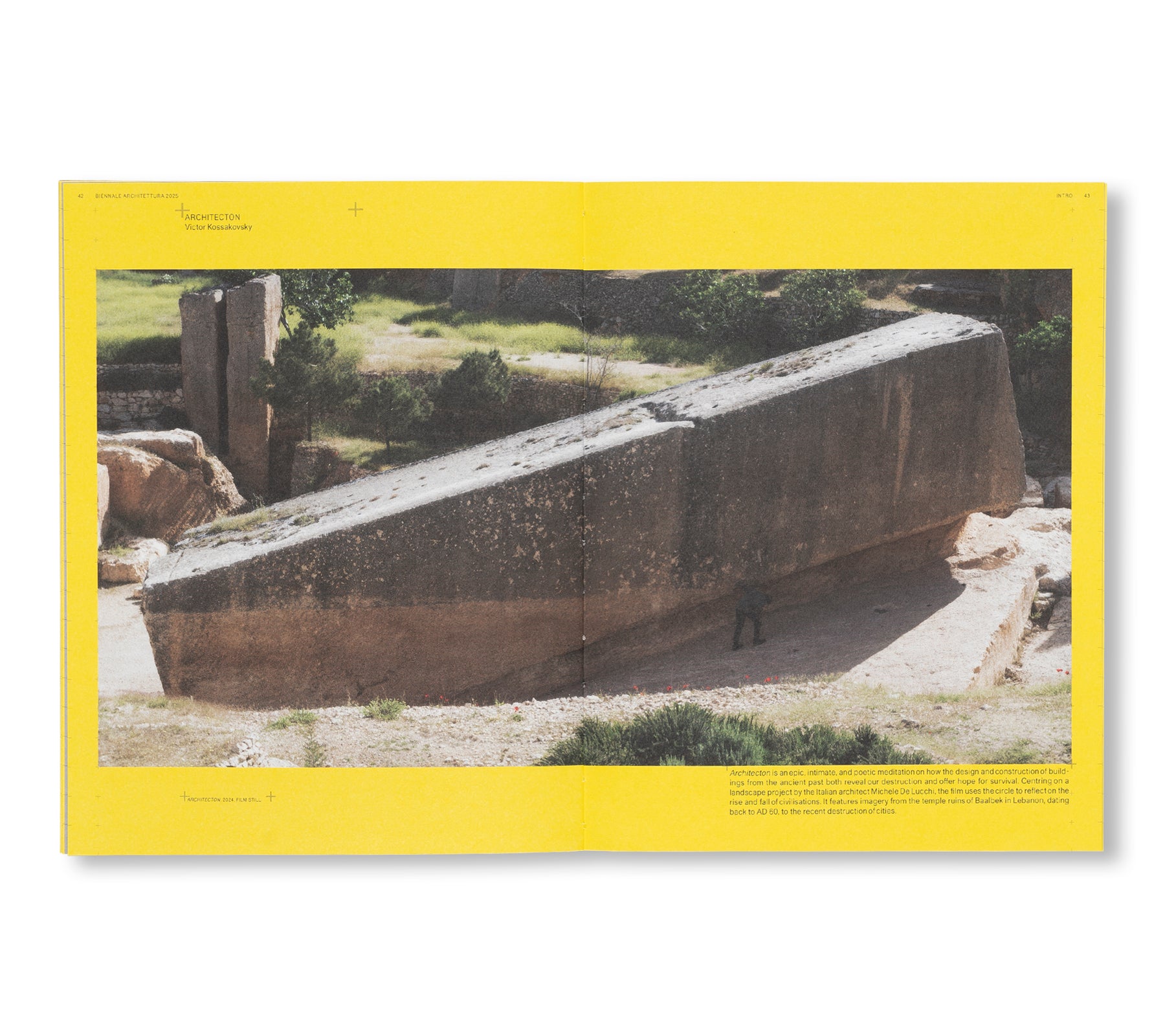 BIENNALE ARCHITETTURA 2025: INTELLIGENS. NATURAL. ARTIFICIAL. COLLECTIVE.