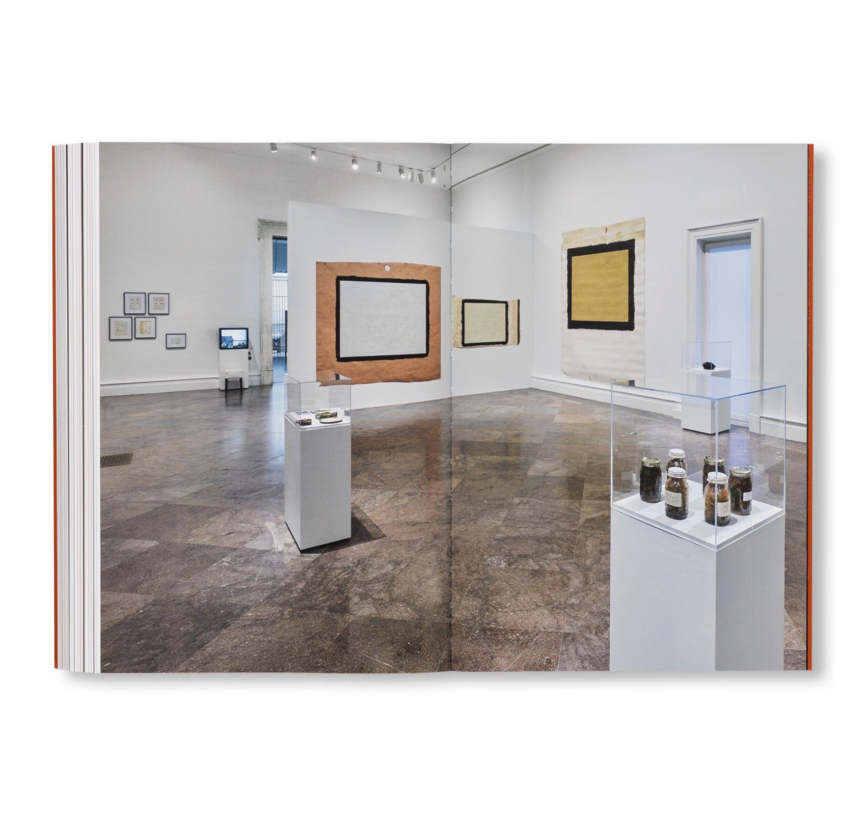 INTRODUCING TONY CONRAD: A RETROSPECTIVE by Tony Conrad