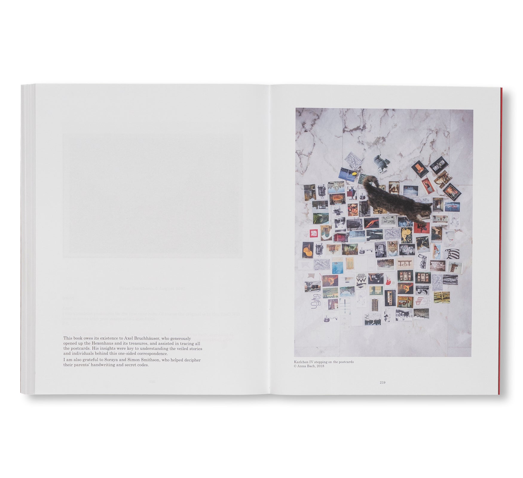 DEAR AXEL…99 POSTCARDS FROM ALISON AND PETER SMITHSON by Alison & Peter Smithson