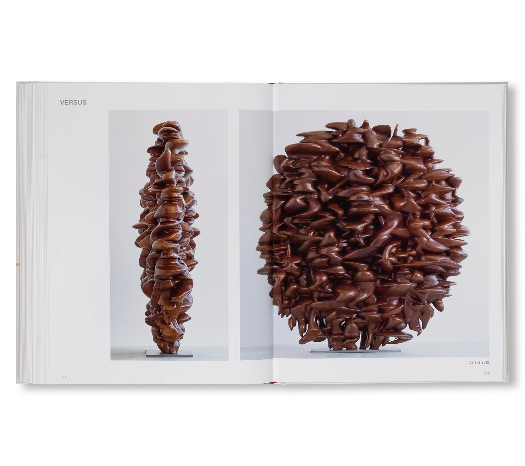 LINE OF THOUGHT – SKULPTURENPARK WALDFRIEDEN, WUPPERTAL by Tony Cragg