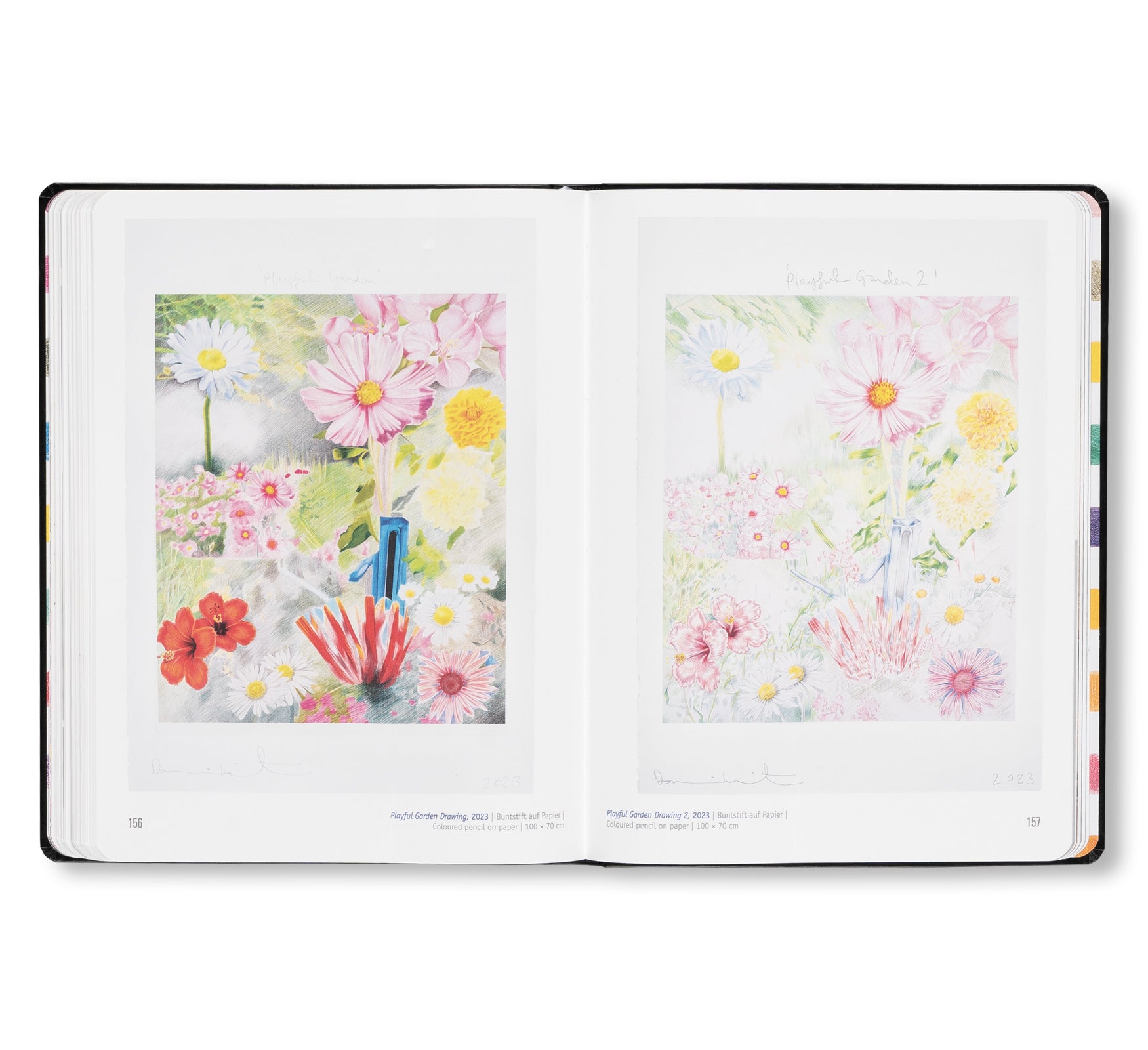 DAMIEN HIRST - DRAWINGS by Damien Hirst