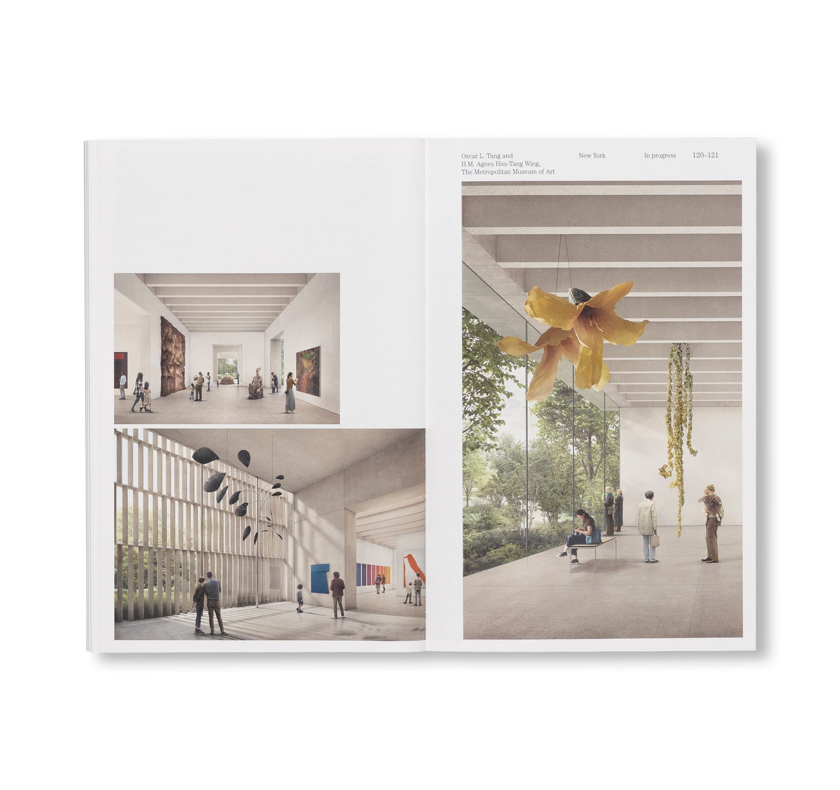 SUSPENDED MOMENT: THE ARCHITECTURE OF FRIDA ESCOBEDO by Frida Escobedo [ENGLISH EDITION]