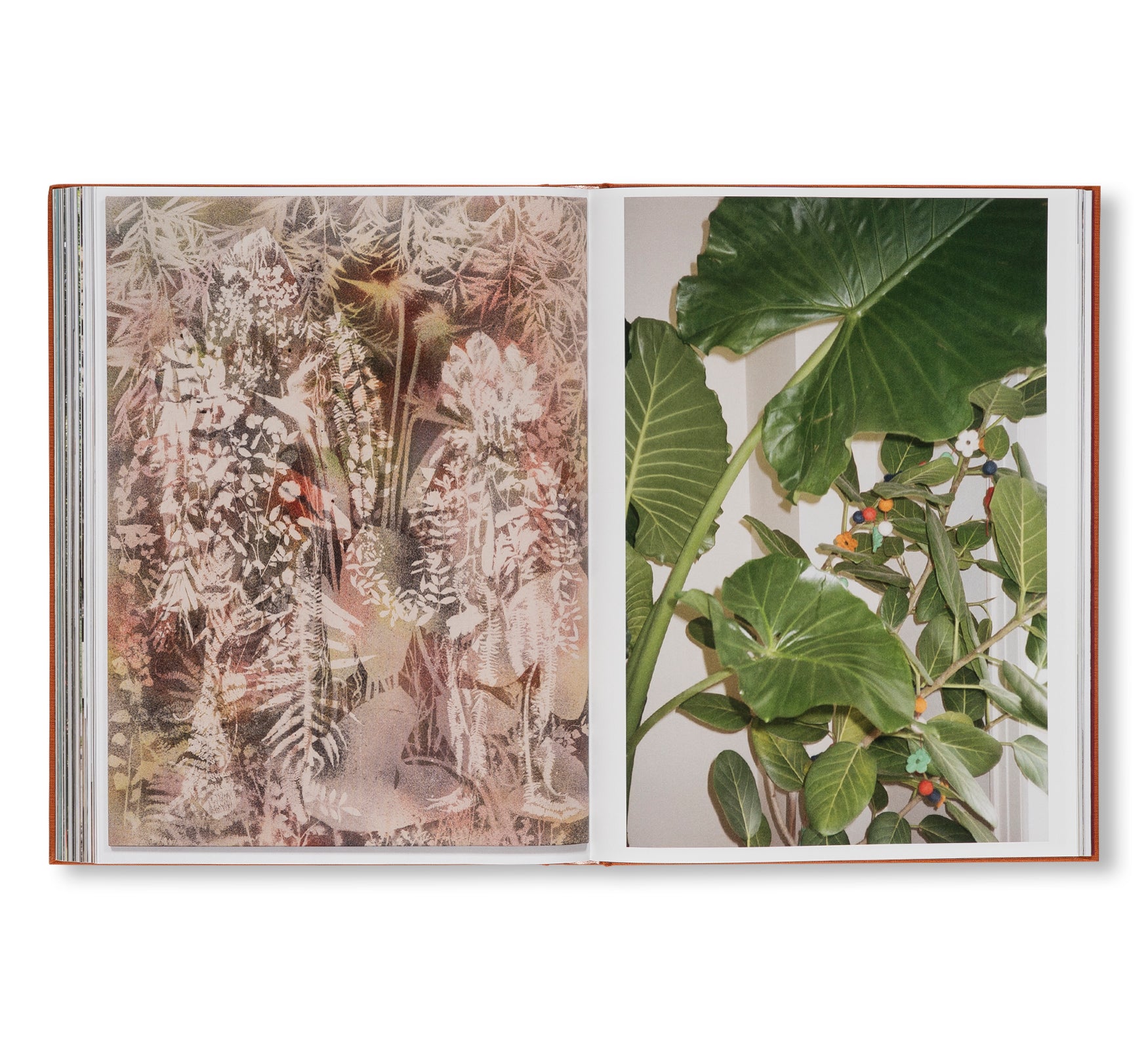 AFTER LIFE by Sam Falls