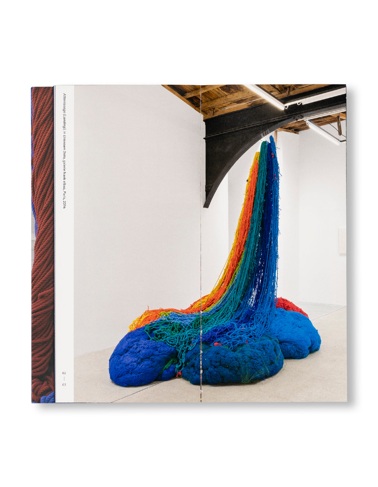 RADICAL VERTICAL INQUIRIES by Sheila Hicks