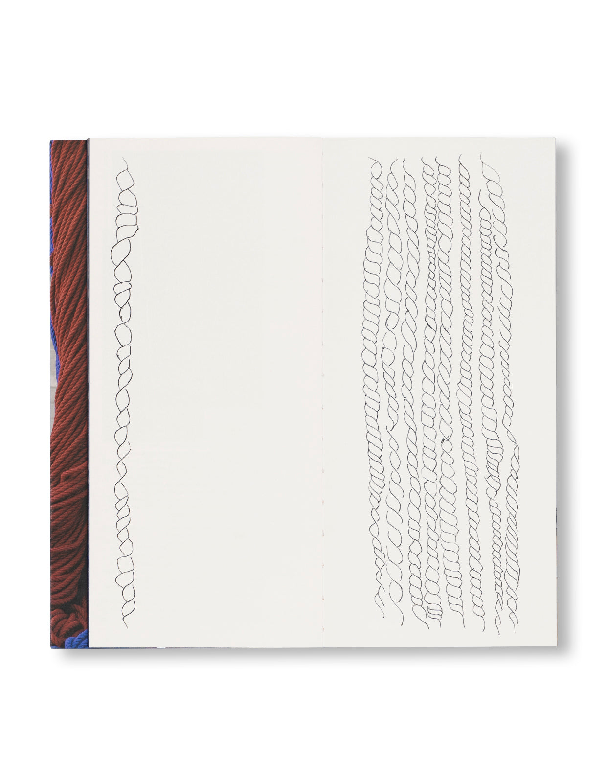 RADICAL VERTICAL INQUIRIES by Sheila Hicks